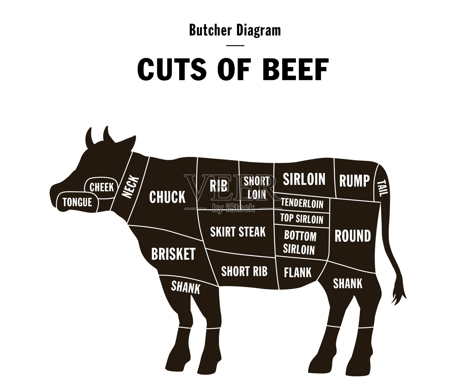 图示牛的轮廓和牛肉部分插画图片素材