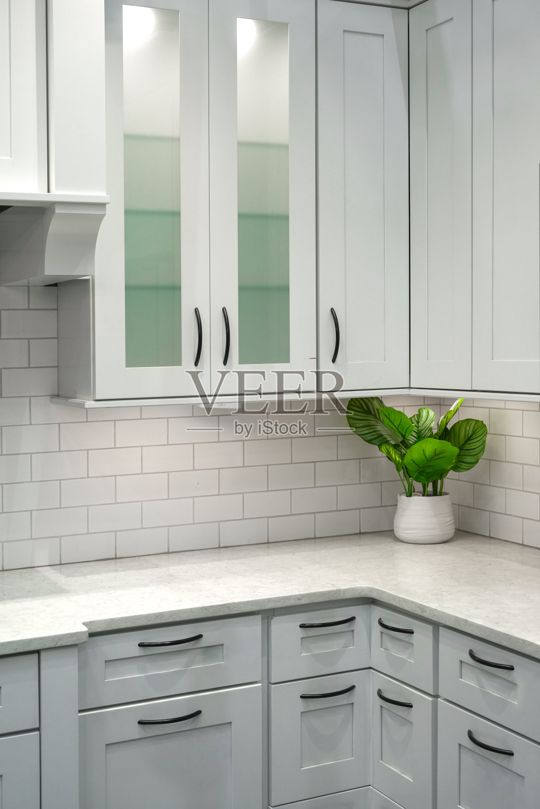 靠近白色厨房内部与植物和橱柜照片摄影图片