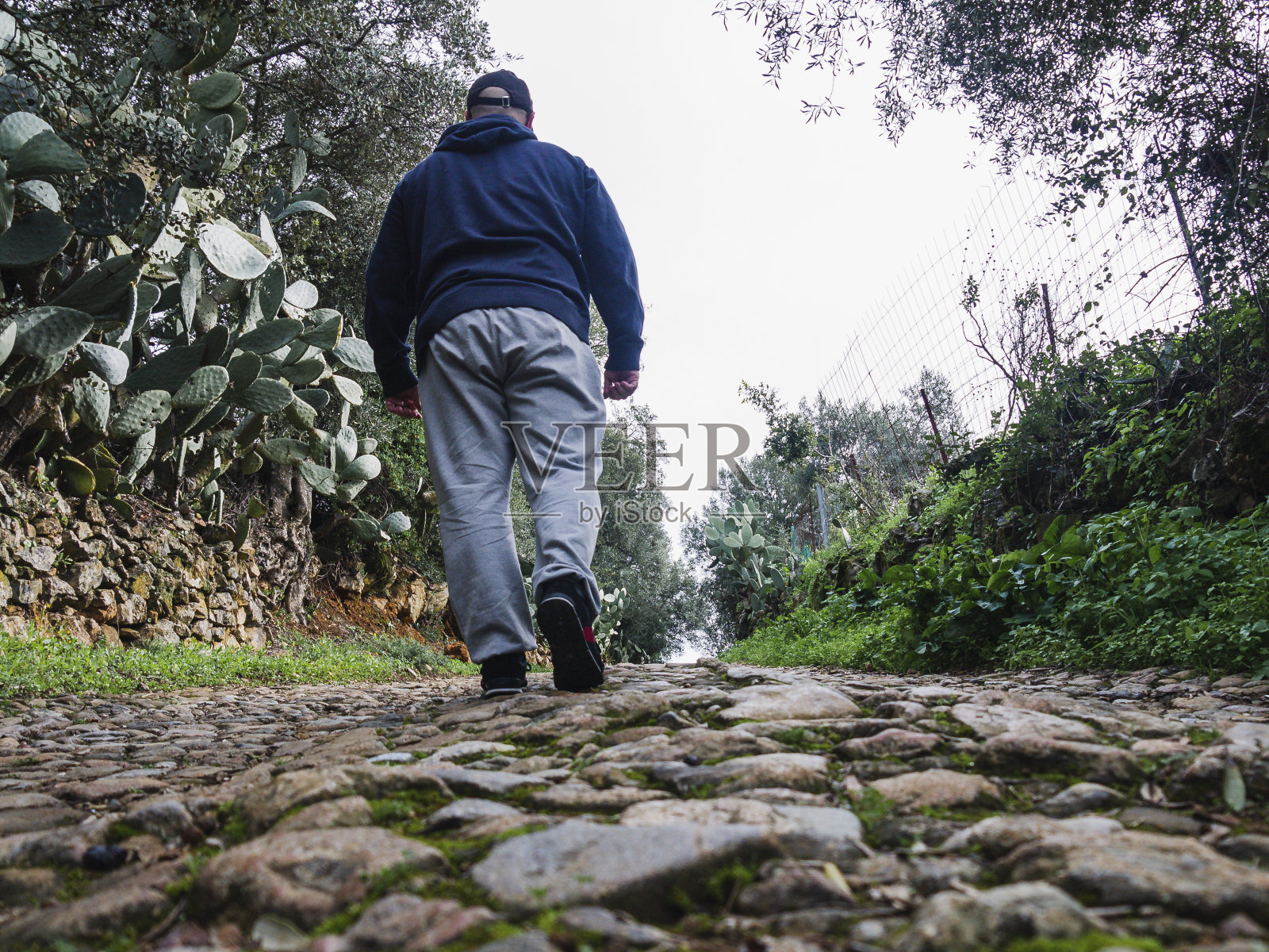 一个背对着他的人，走在山间小路上照片摄影图片