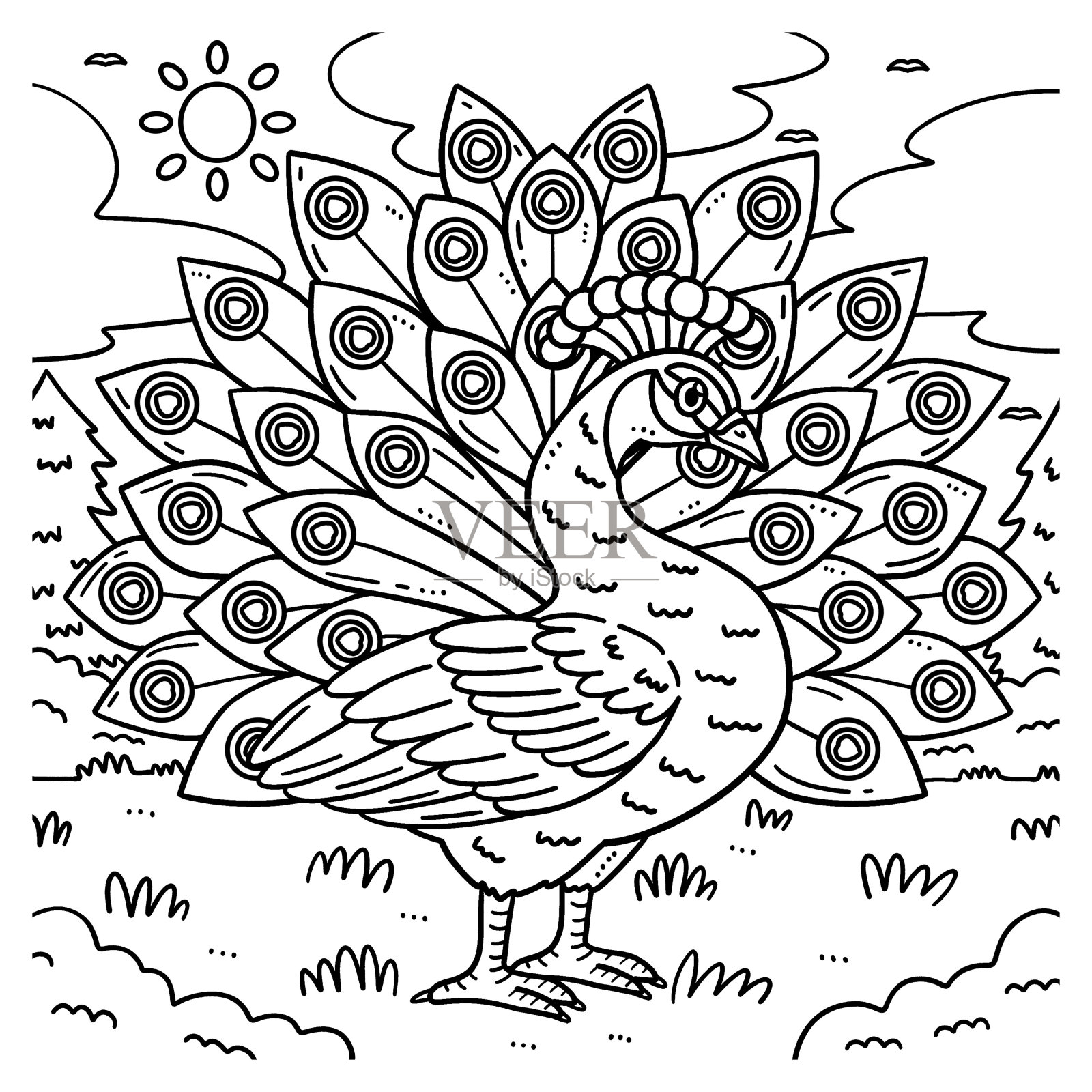 孔雀鸟儿童着色页插画图片素材