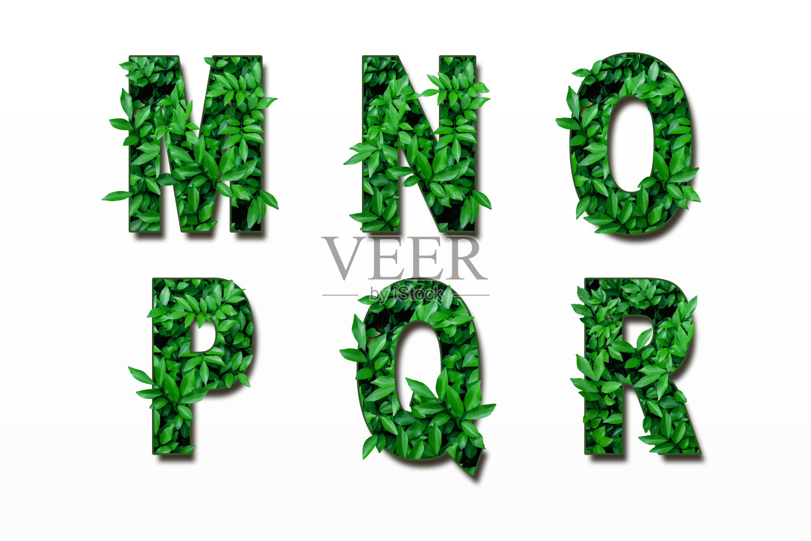 树叶字体M、N、O、P、Q、R，白色背景隔离照片摄影图片