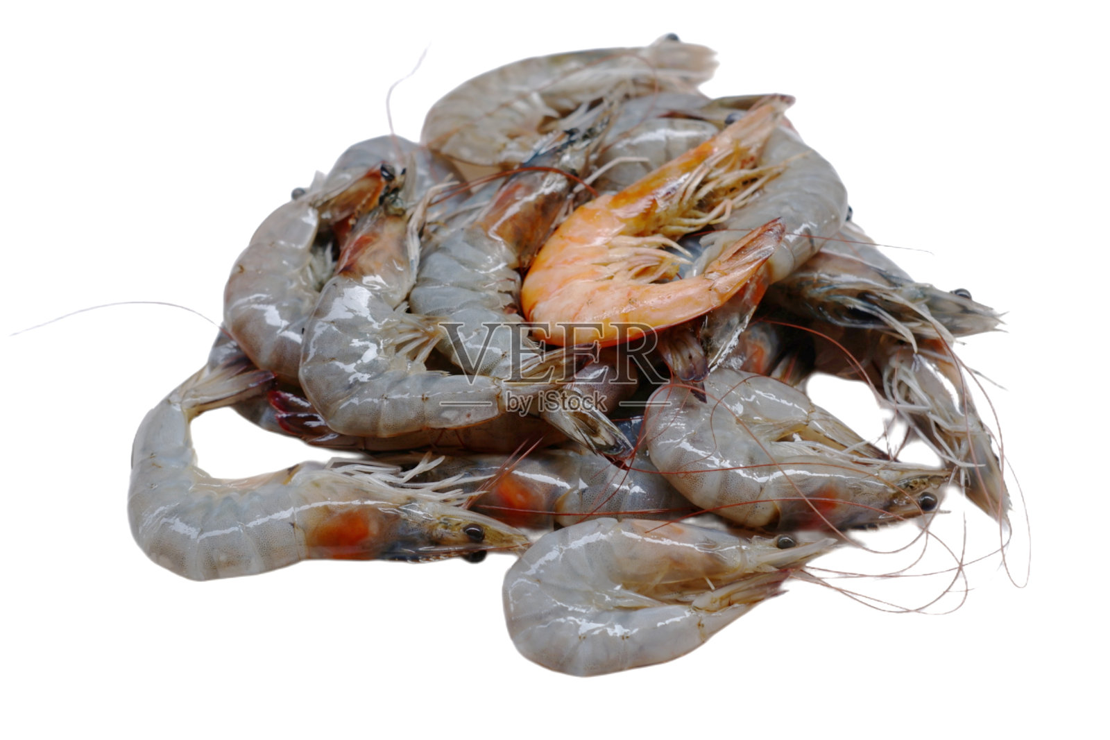 鲜虾尾分离。生无头虾，太平洋虾，生虎虾，巨型海鲜照片摄影图片