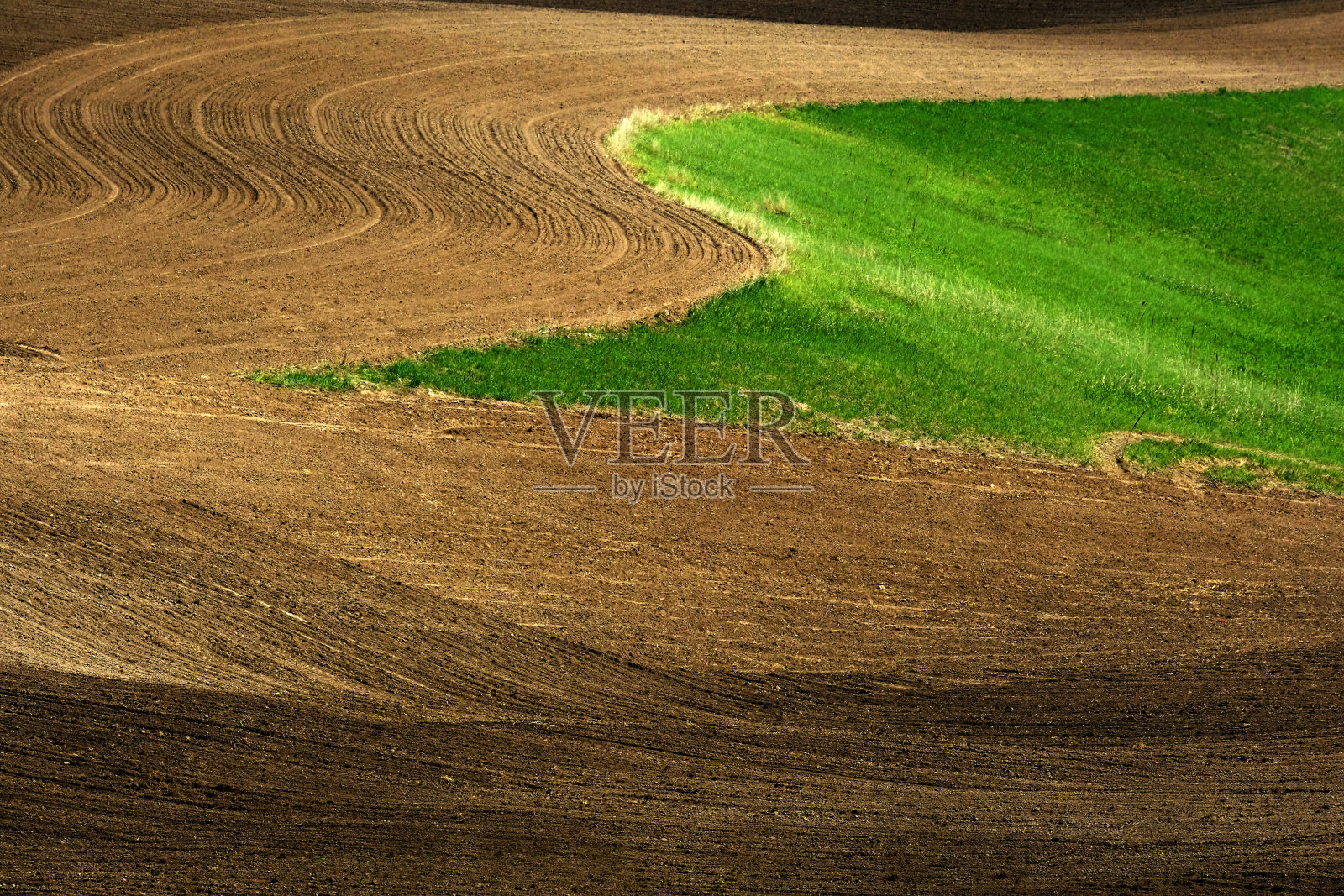 农场上有犁沟痕迹和行纹理的滚耕田地照片摄影图片