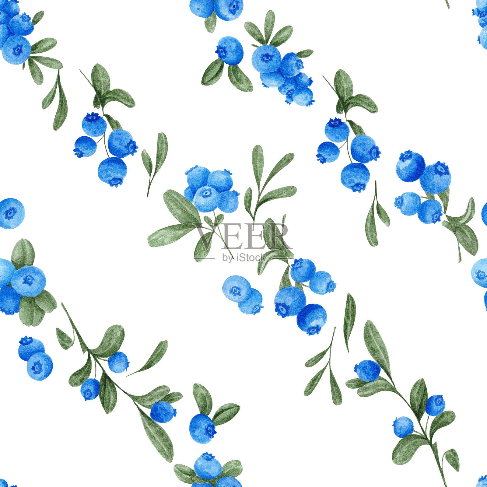 无缝图案与水彩蓝莓和树叶隔离在白色背景。手绘水彩插图。插画图片素材