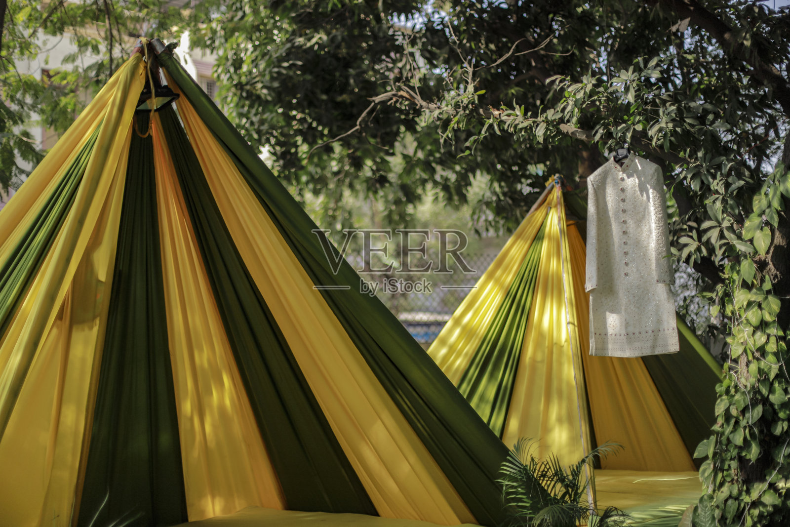 雪瓦尼挂在树上和漂亮的装饰品上照片摄影图片