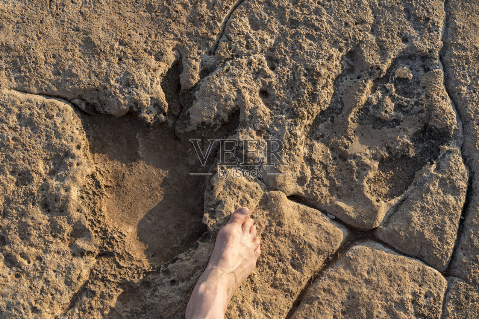 布里朱尼岛岩石上的恐龙脚印照片摄影图片