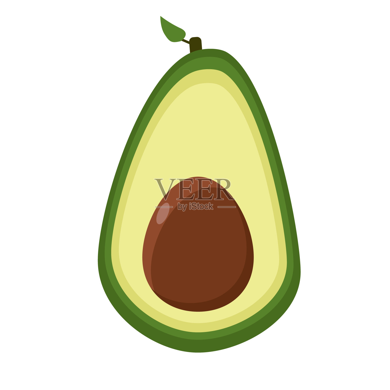 鳄梨。插画图片素材
