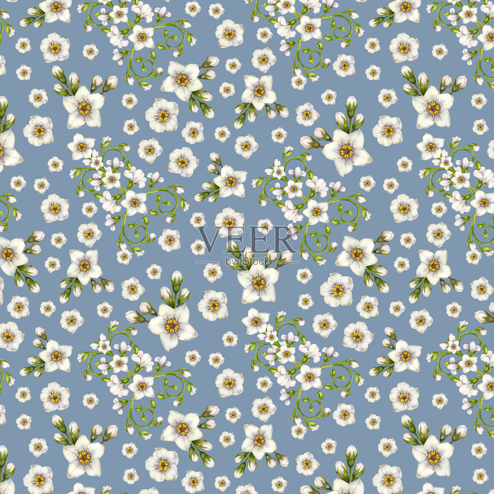 美丽的水彩无缝图案白色勿忘我花复活节，婚礼，母亲，情人节，生日，春夏面料，剪贴画，贴纸，壁纸，模板插画图片素材