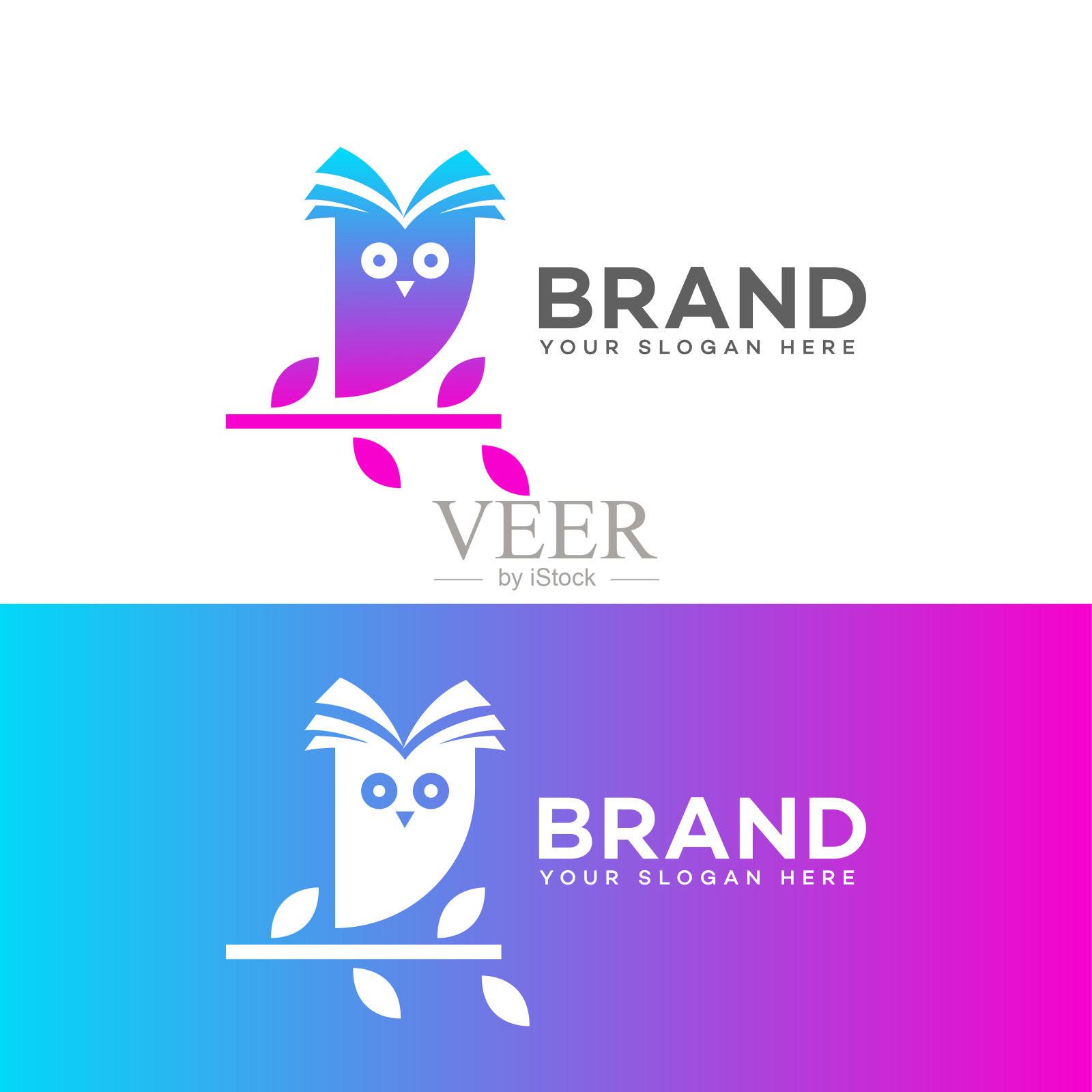 教育猫头鹰插画图片素材