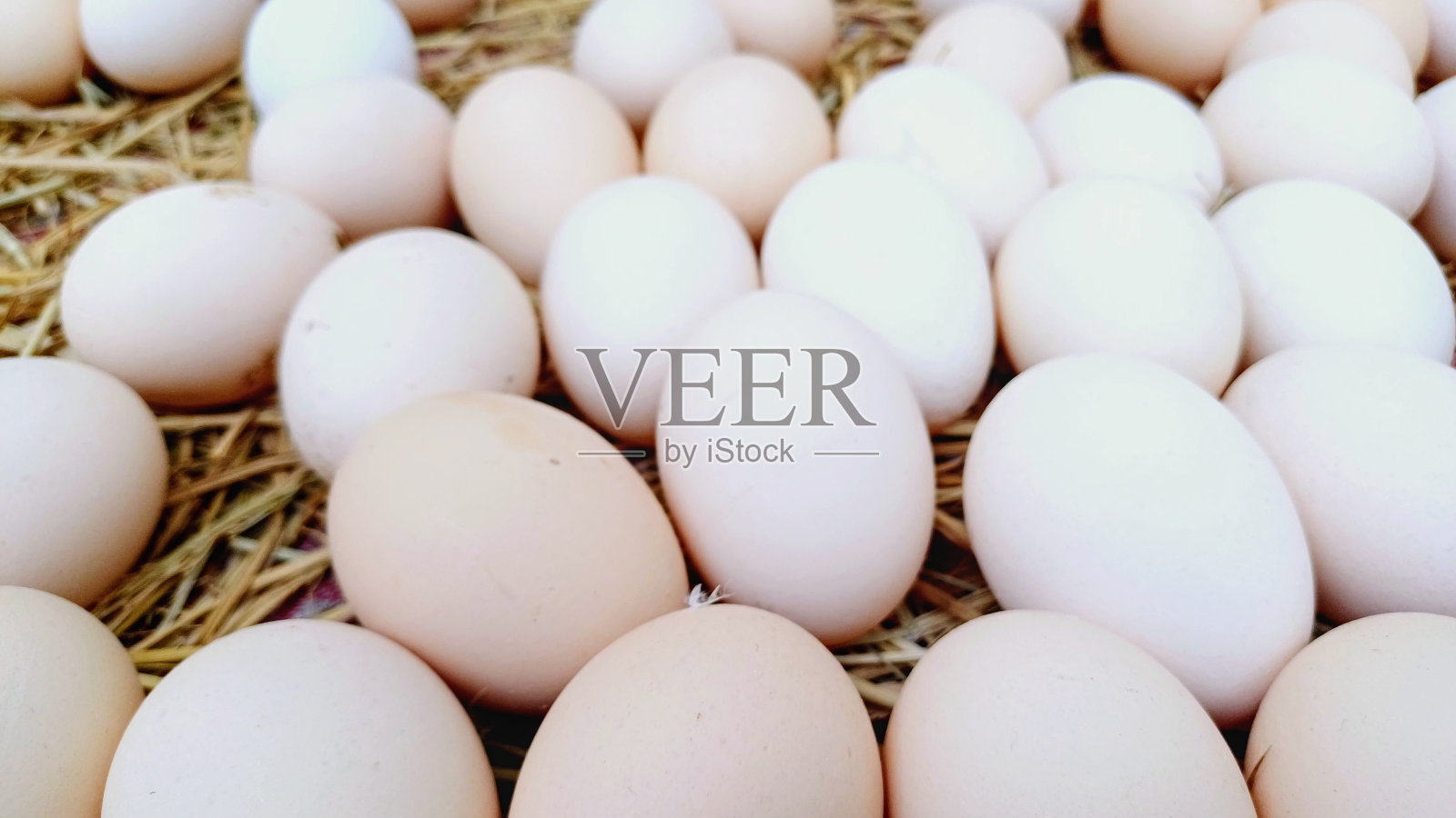 鸡蛋照片摄影图片