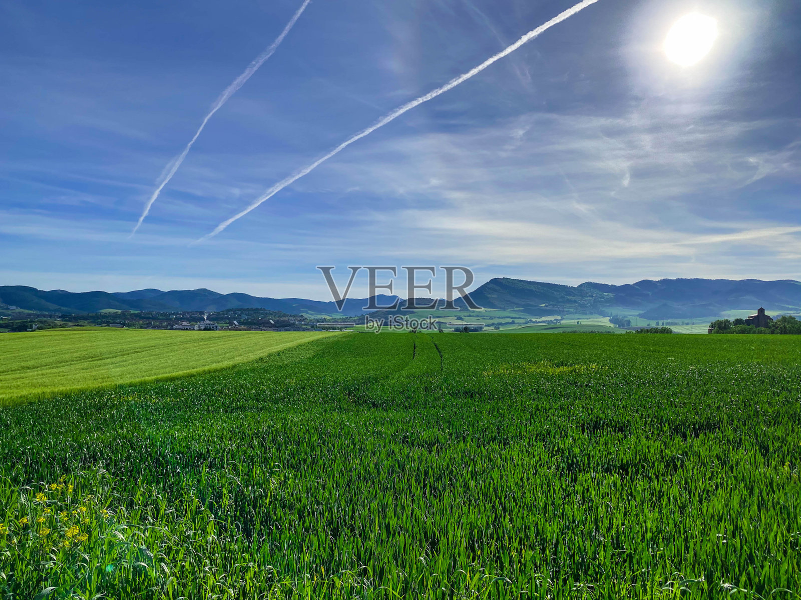 两个蔬菜照片摄影图片