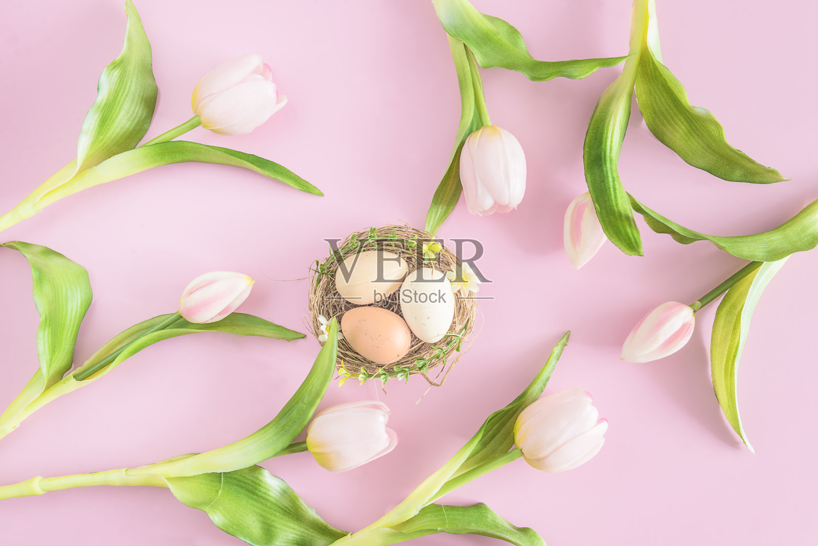 复活节快乐假期概念;照片摄影图片