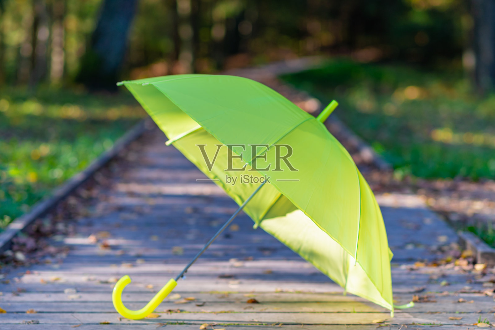 秋天的季节,。黄色雨伞，公园或树林。黄叶木径，迷离公园背景。照片摄影图片