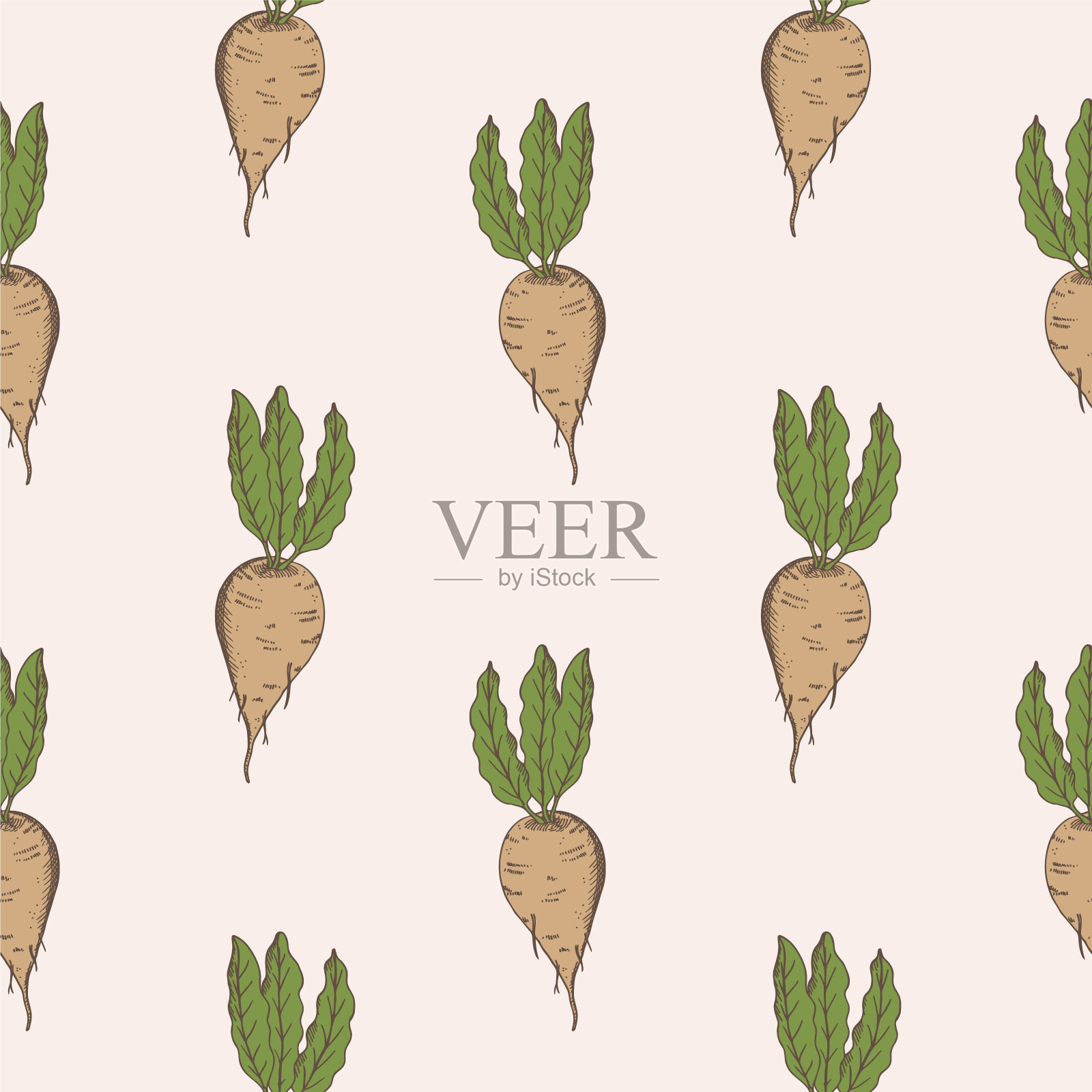 甜菜无缝图案手绘矢量插图与甜根植物雕刻蔬菜印刷，卡片，设计，纺织重复背景。农业，食品，甜菜根收获插画图片素材