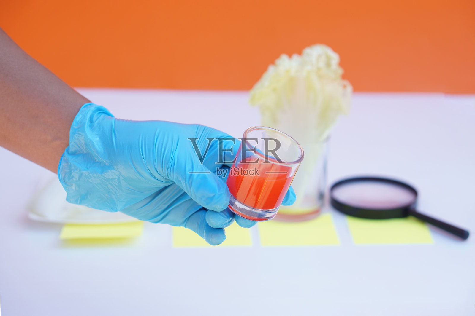 概念、科学课活动。简单的学习实验。照片摄影图片