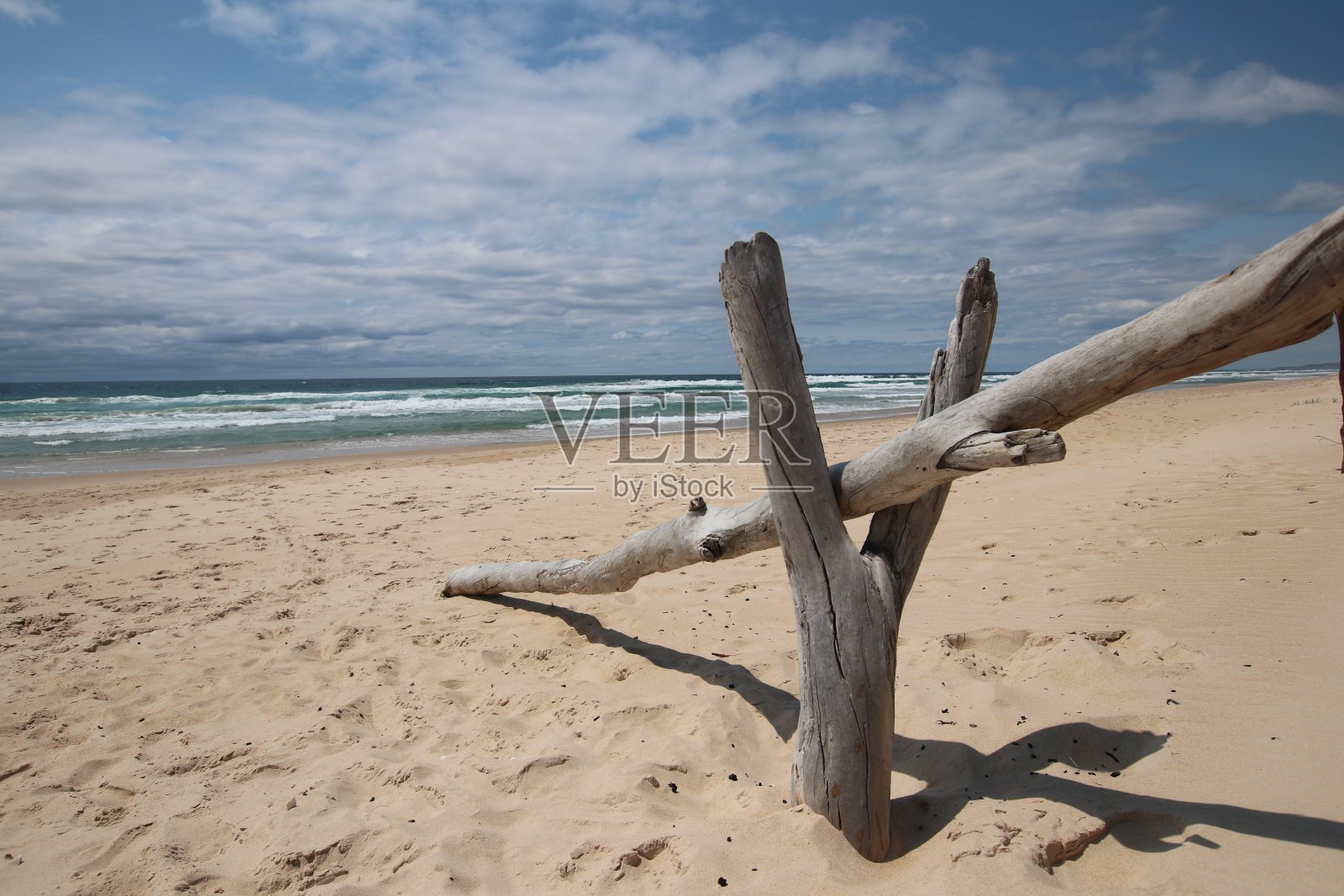 漂流者海滩照片摄影图片