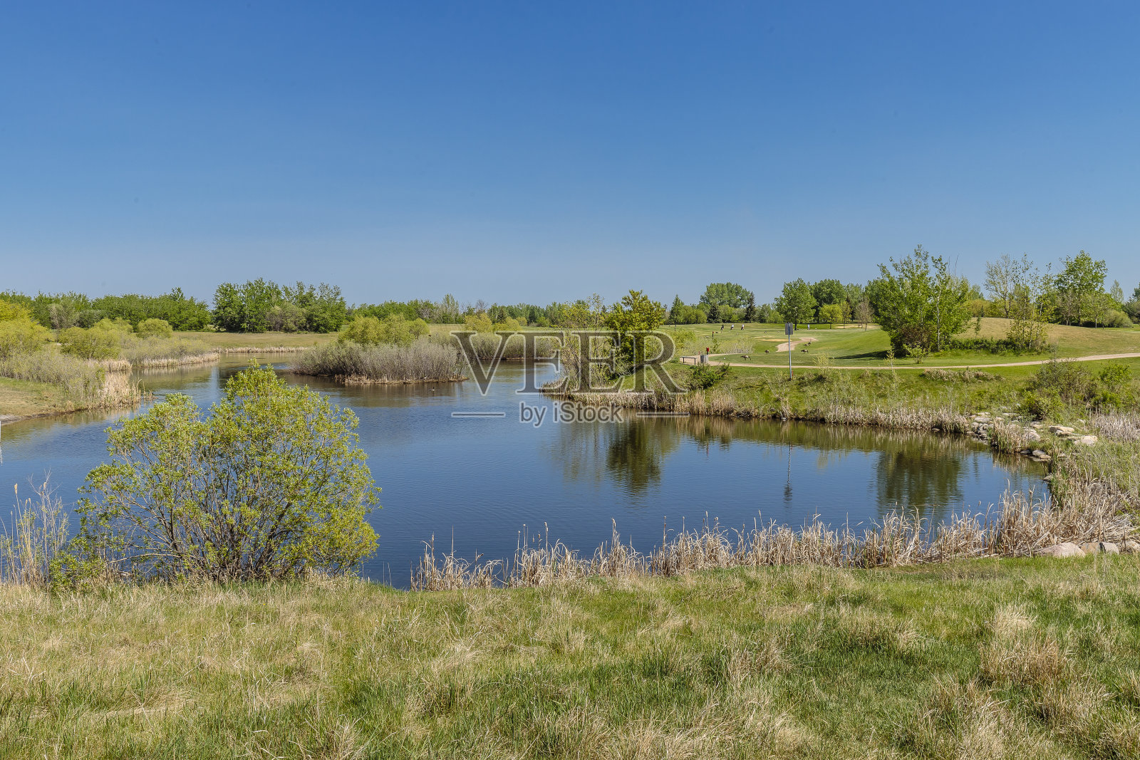 莱克伍德公园照片摄影图片