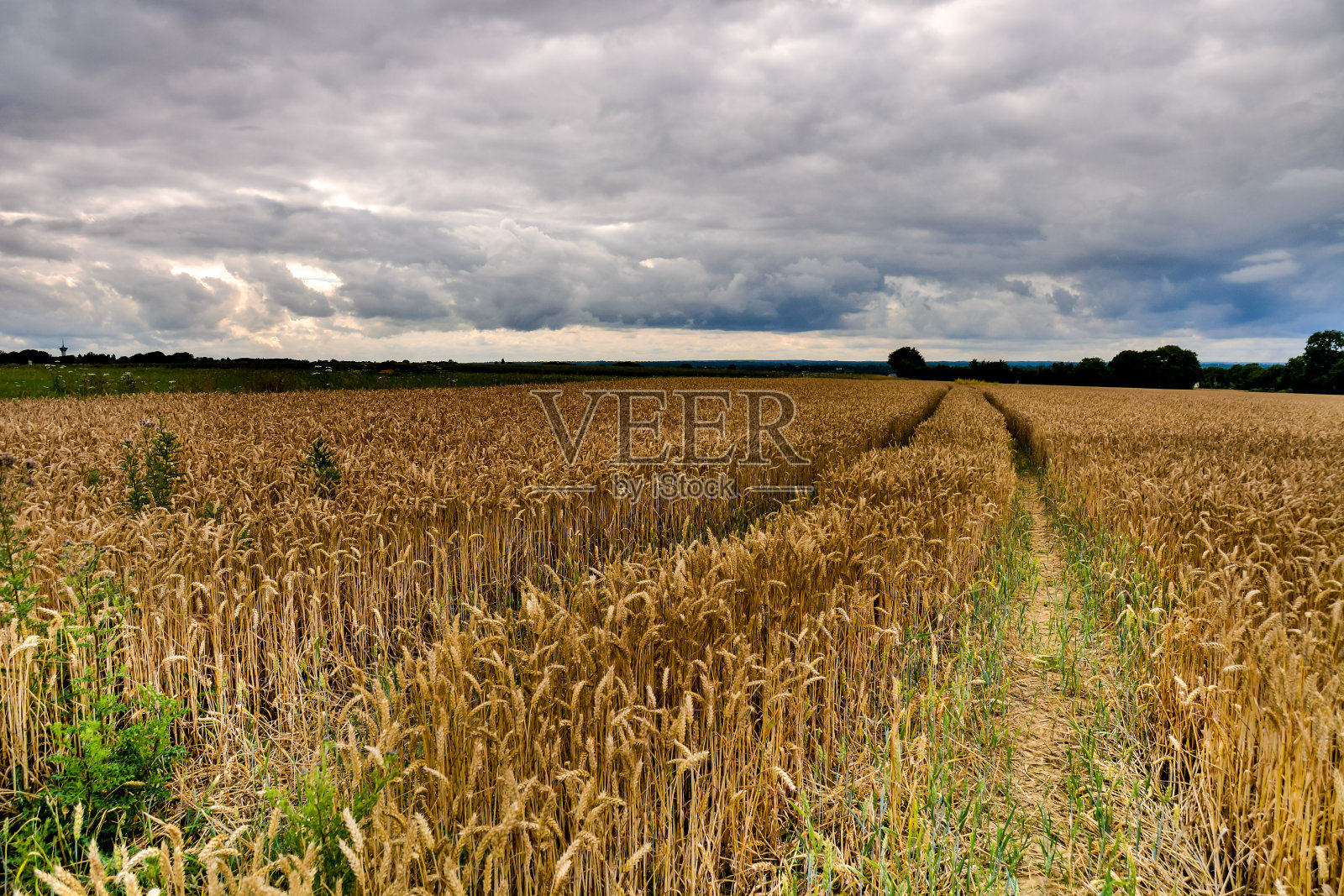 农村耕地景观照片摄影图片