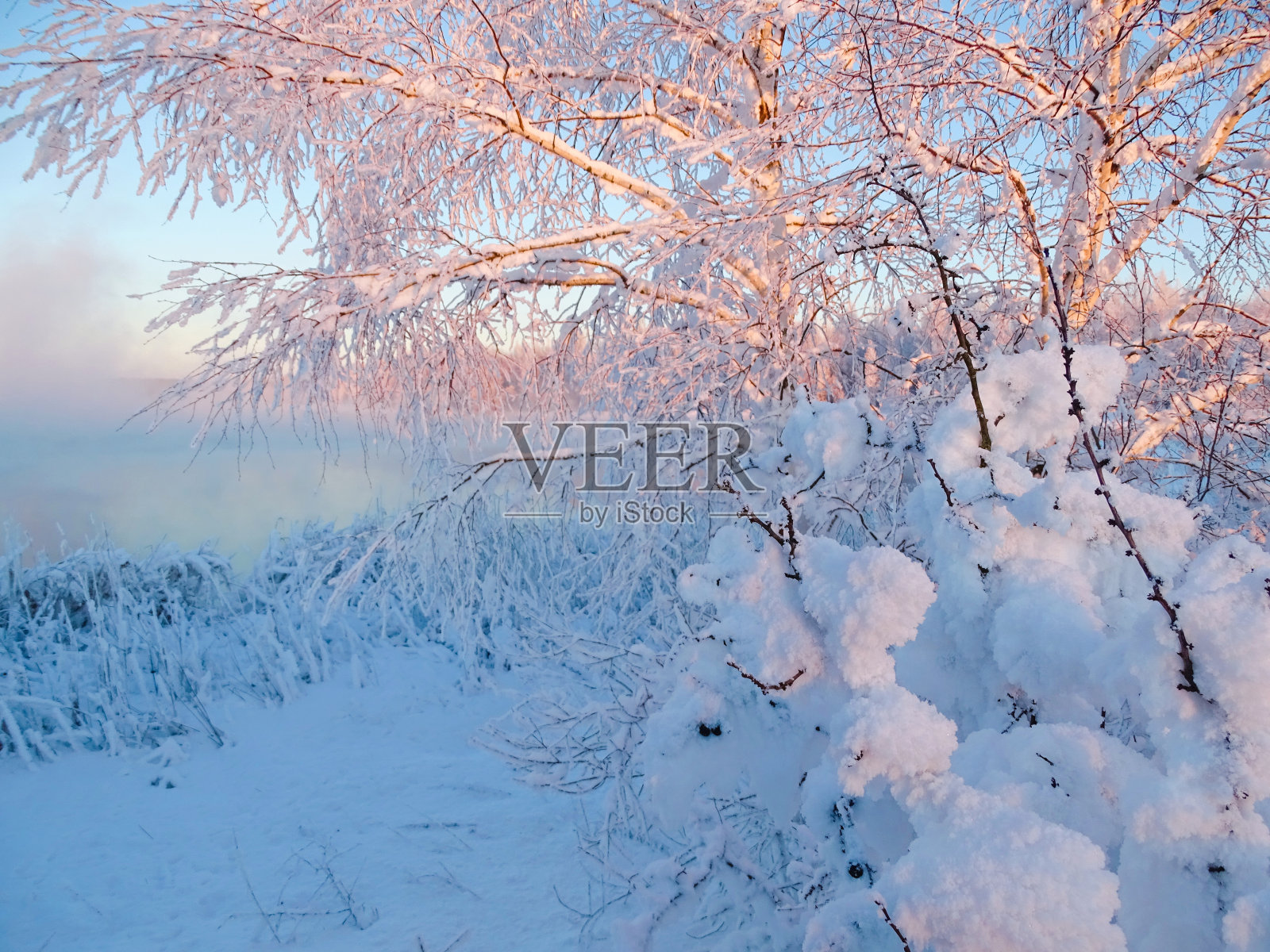 雾蒙蒙的早晨，河上的树木在下雪后结霜照片摄影图片