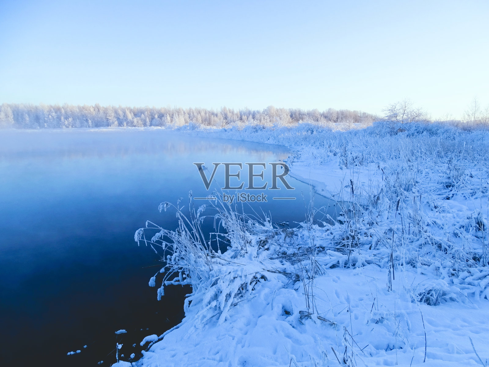 雾蒙蒙的早晨，河上的树木在下雪后结霜照片摄影图片