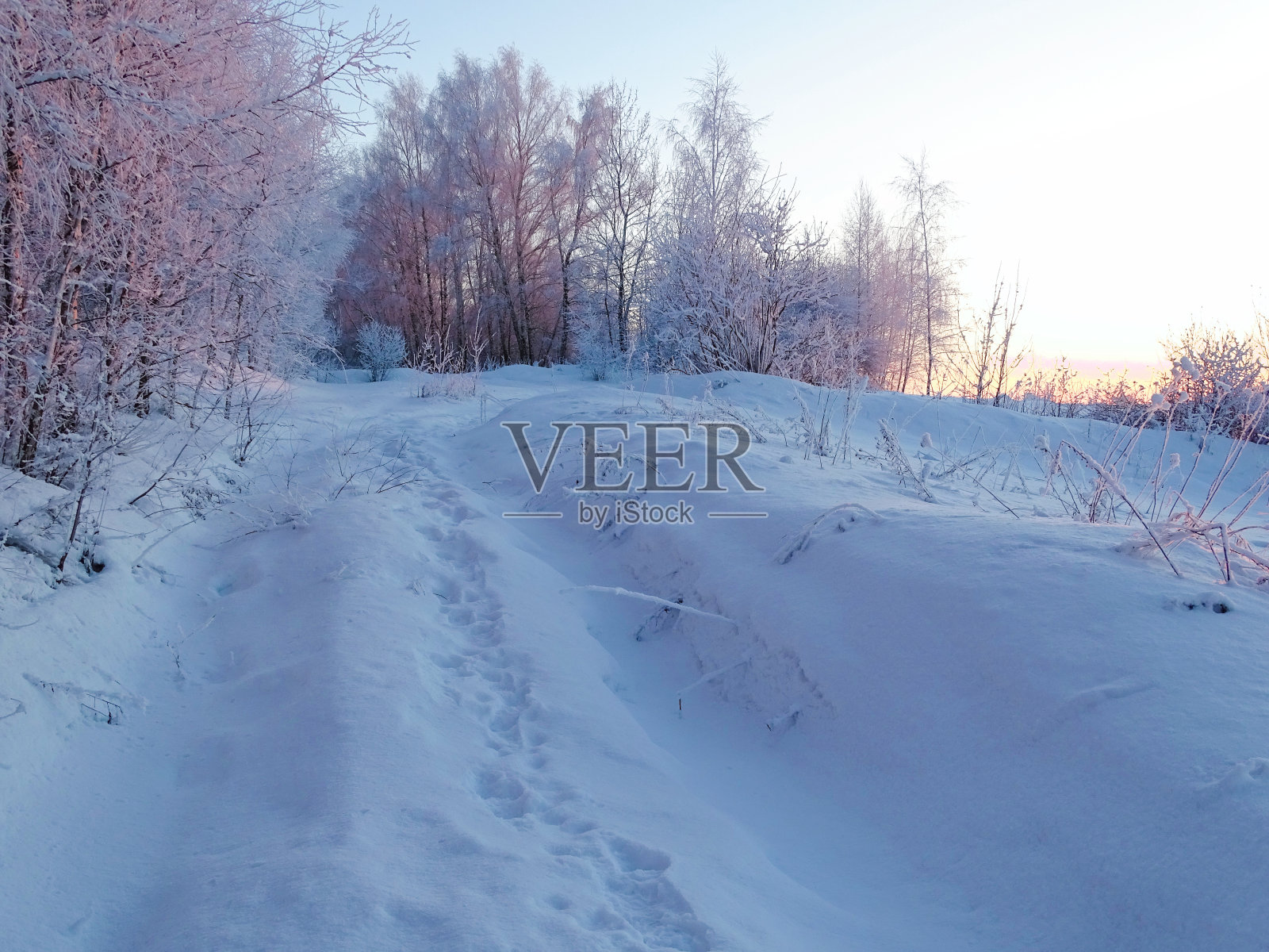 雾蒙蒙的早晨，河上的树木在下雪后结霜照片摄影图片