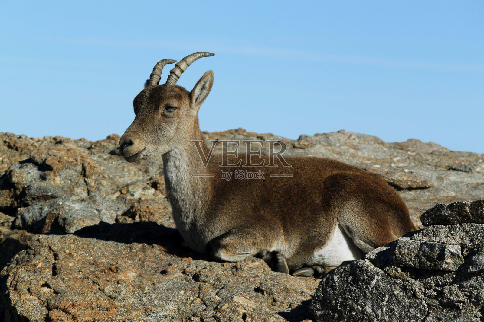Gredos照片摄影图片