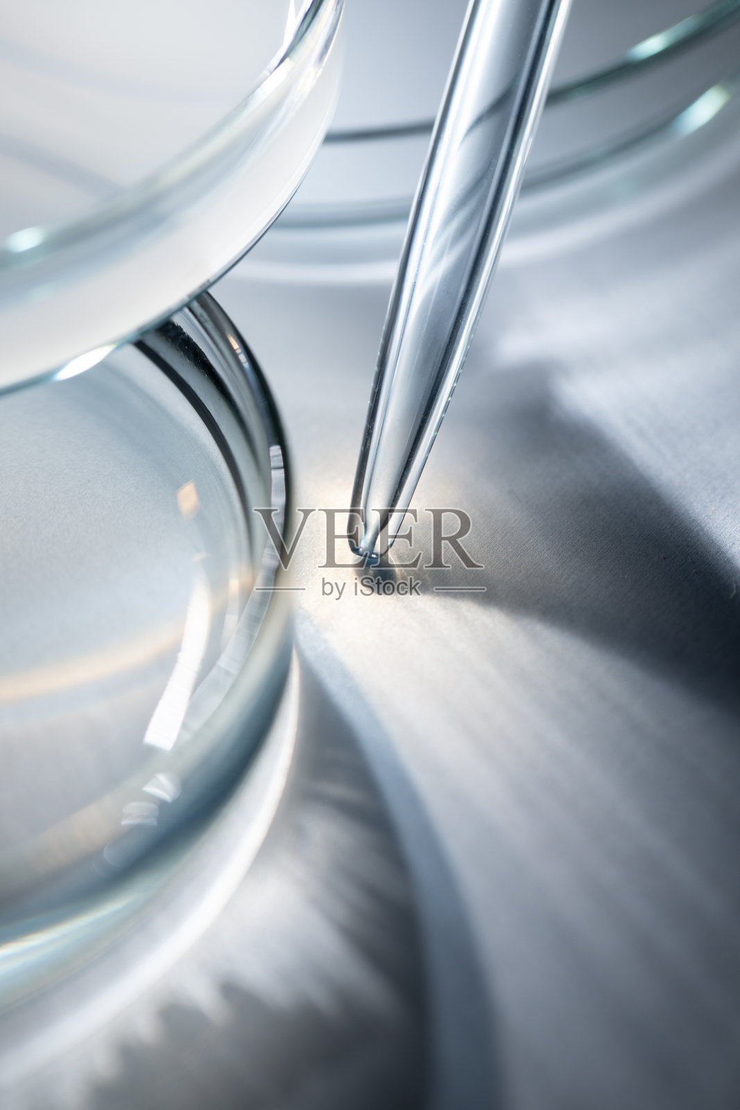 科学研究。实验室移液管和培养皿。照片摄影图片