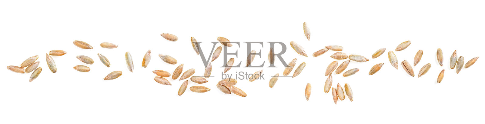 一组黑麦谷物被隔离在白色背景上，从上面看。照片摄影图片