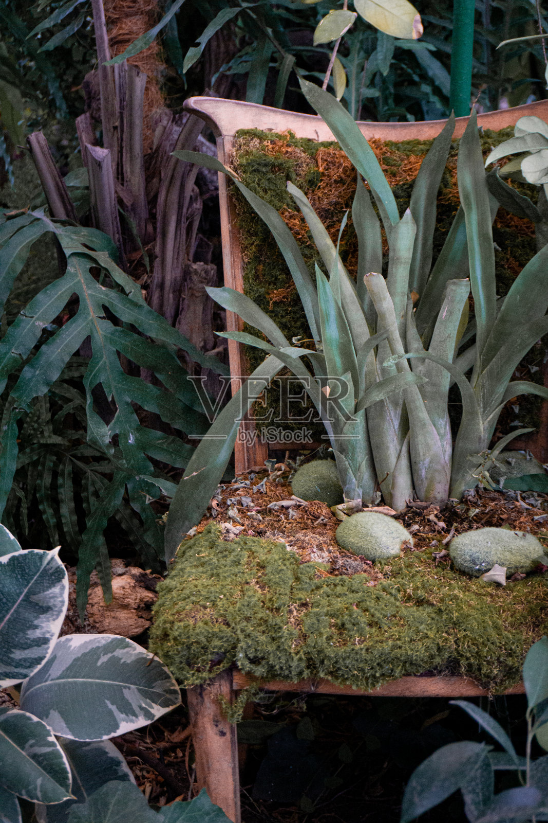 旧椅子照片摄影图片