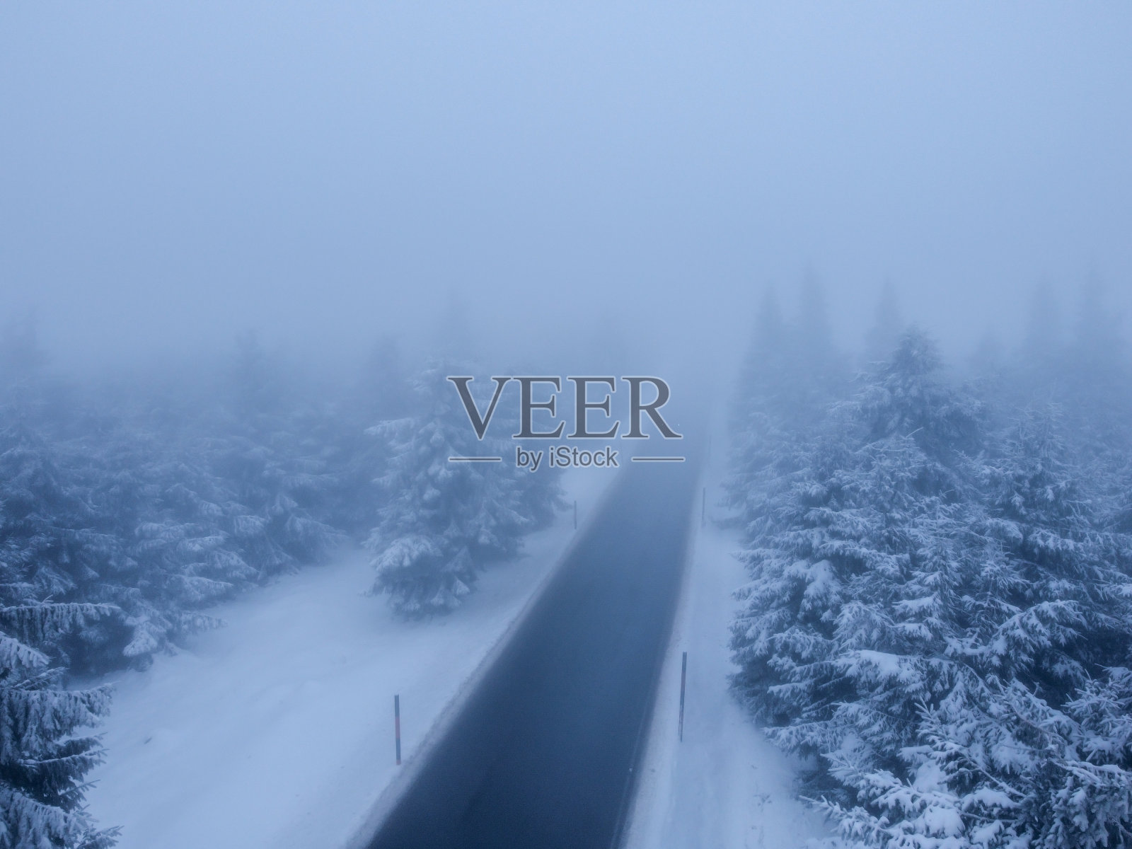 雪覆盖了森林中的道路，雾气弥漫照片摄影图片