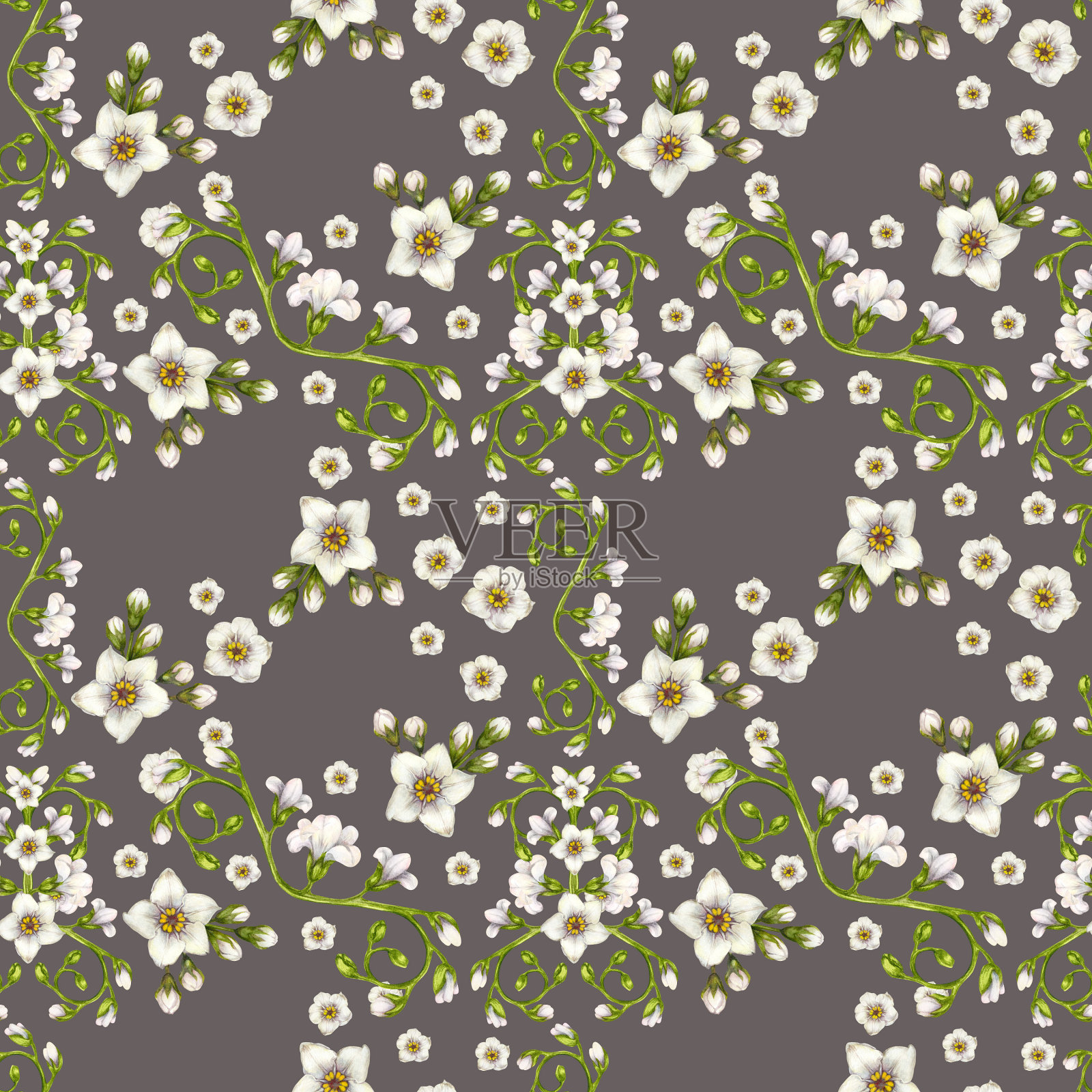 美丽的水彩无缝图案白色勿忘我花复活节，婚礼，母亲，情人节，生日，春夏面料，剪贴画，贴纸，壁纸，模板插画图片素材
