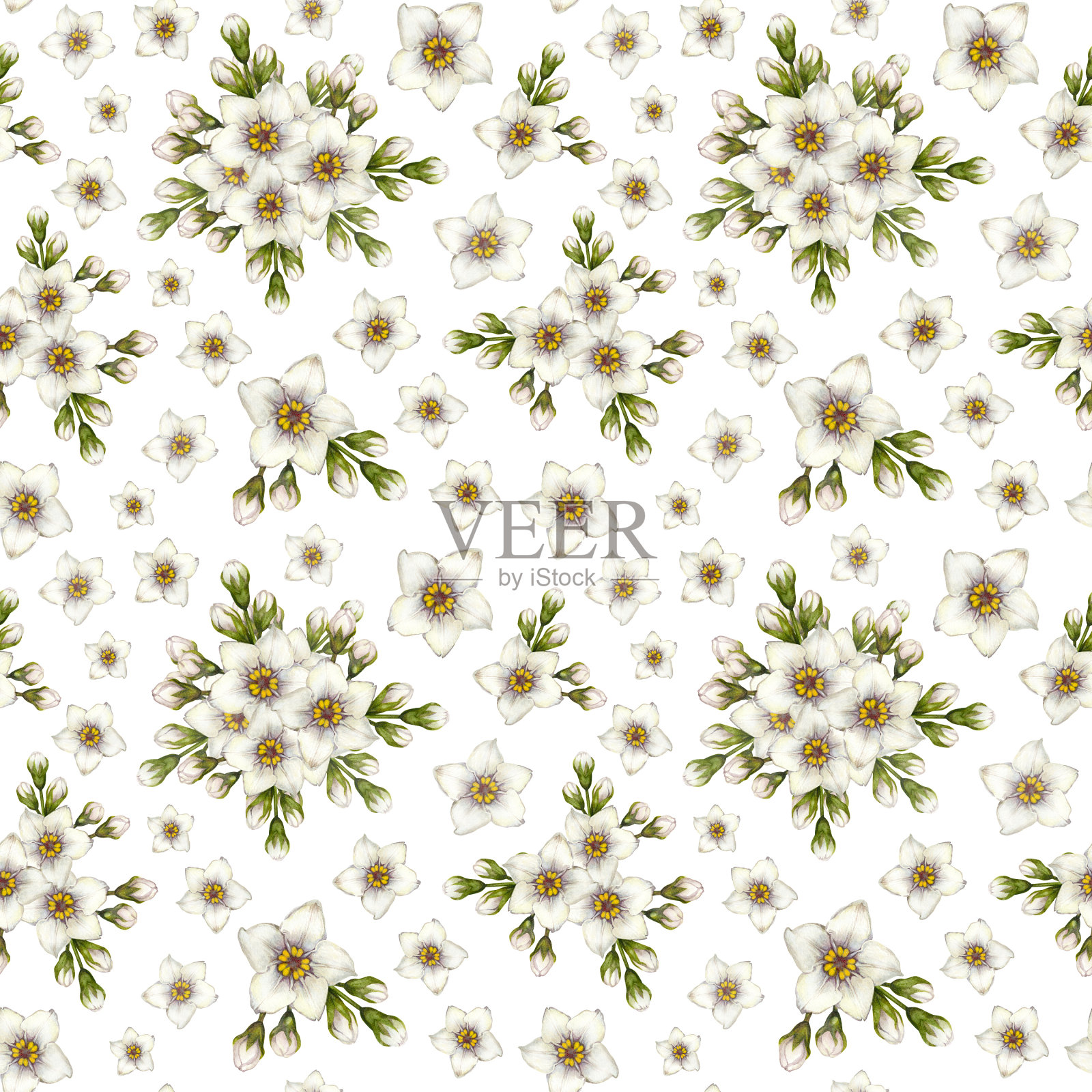 美丽的水彩无缝图案白色勿忘我花复活节，婚礼，母亲，情人节，生日，春夏面料，剪贴画，贴纸，壁纸，模板插画图片素材