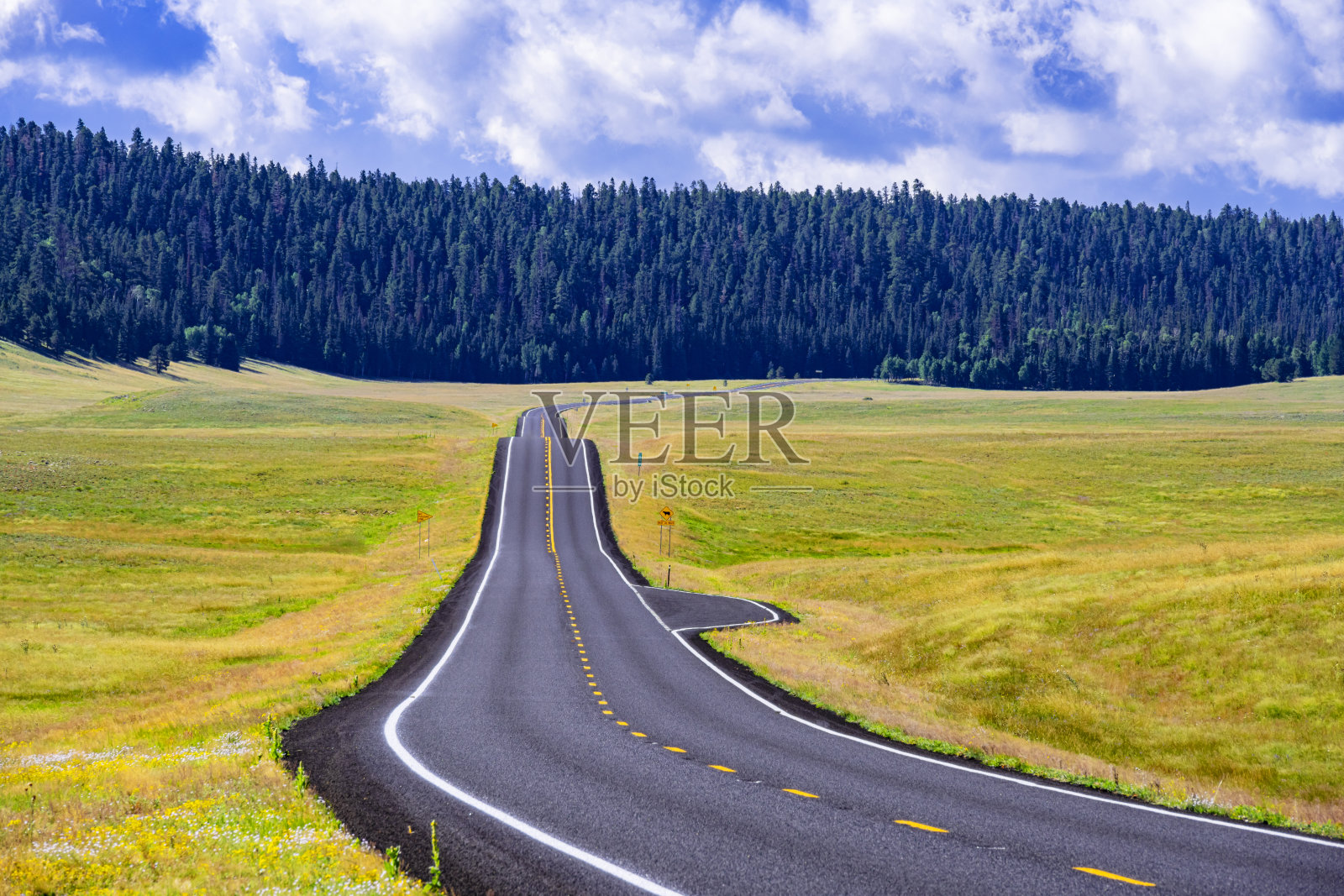 公路穿过凯巴布国家森林到达大峡谷北缘照片摄影图片