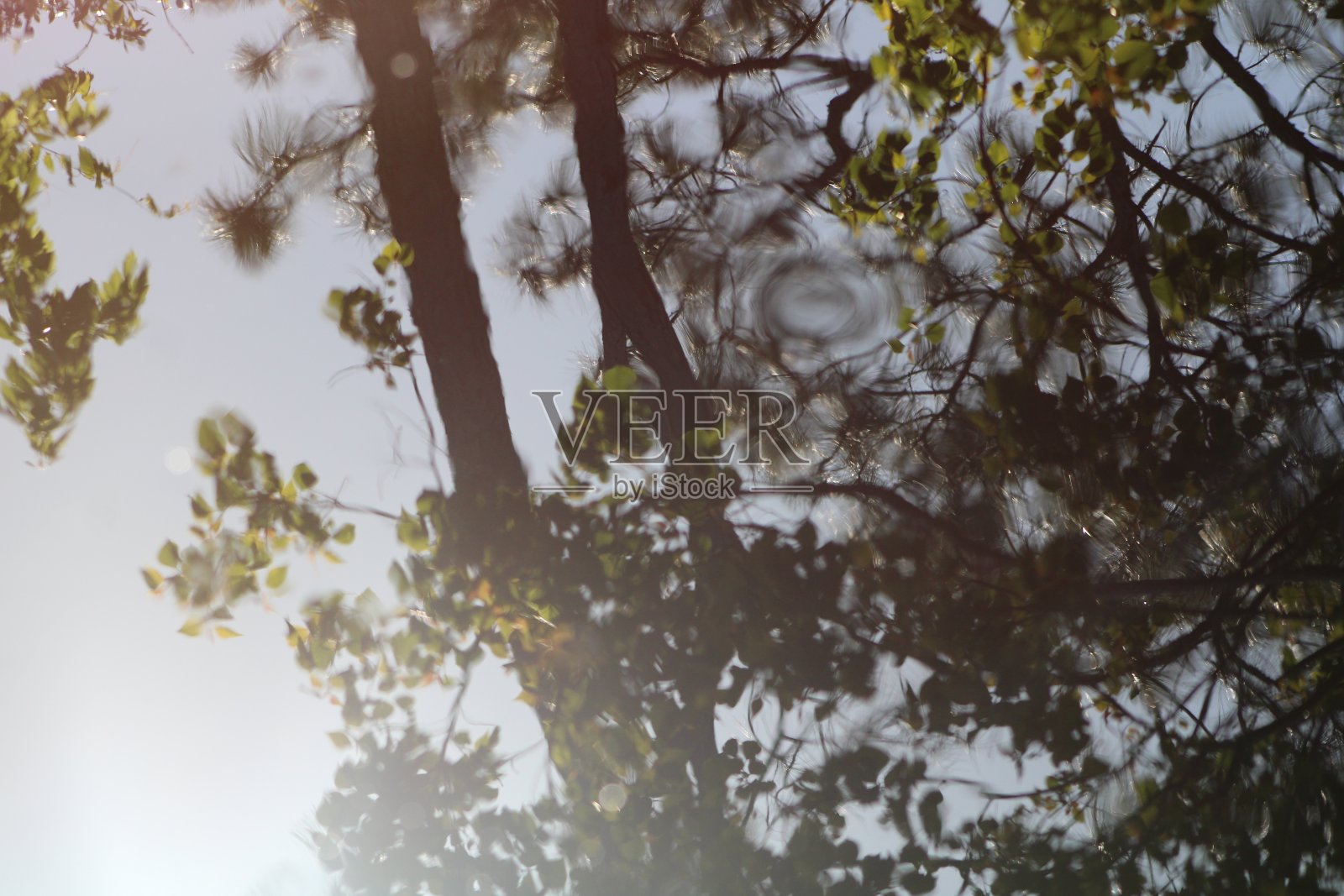 沿着缓慢流动的河流，静水中的倒影照片摄影图片