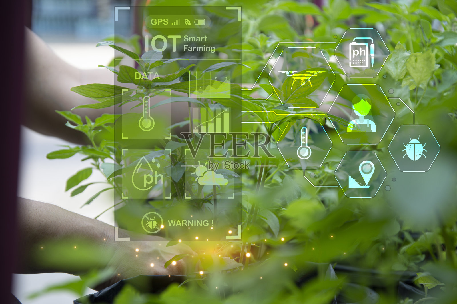 使用人工智能和智能农业的概念。照片摄影图片