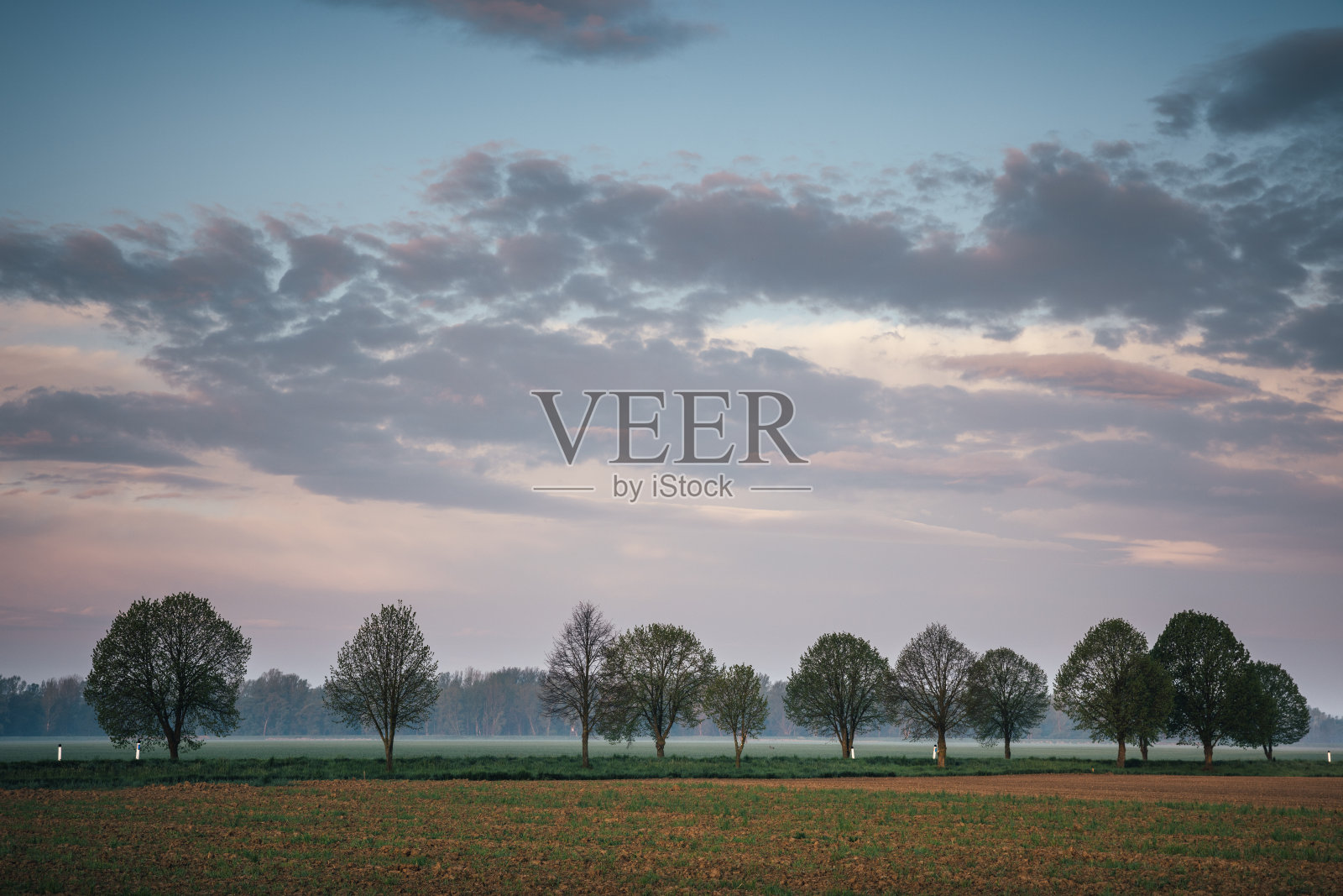 春天绿树成荫的乡间小路照片摄影图片