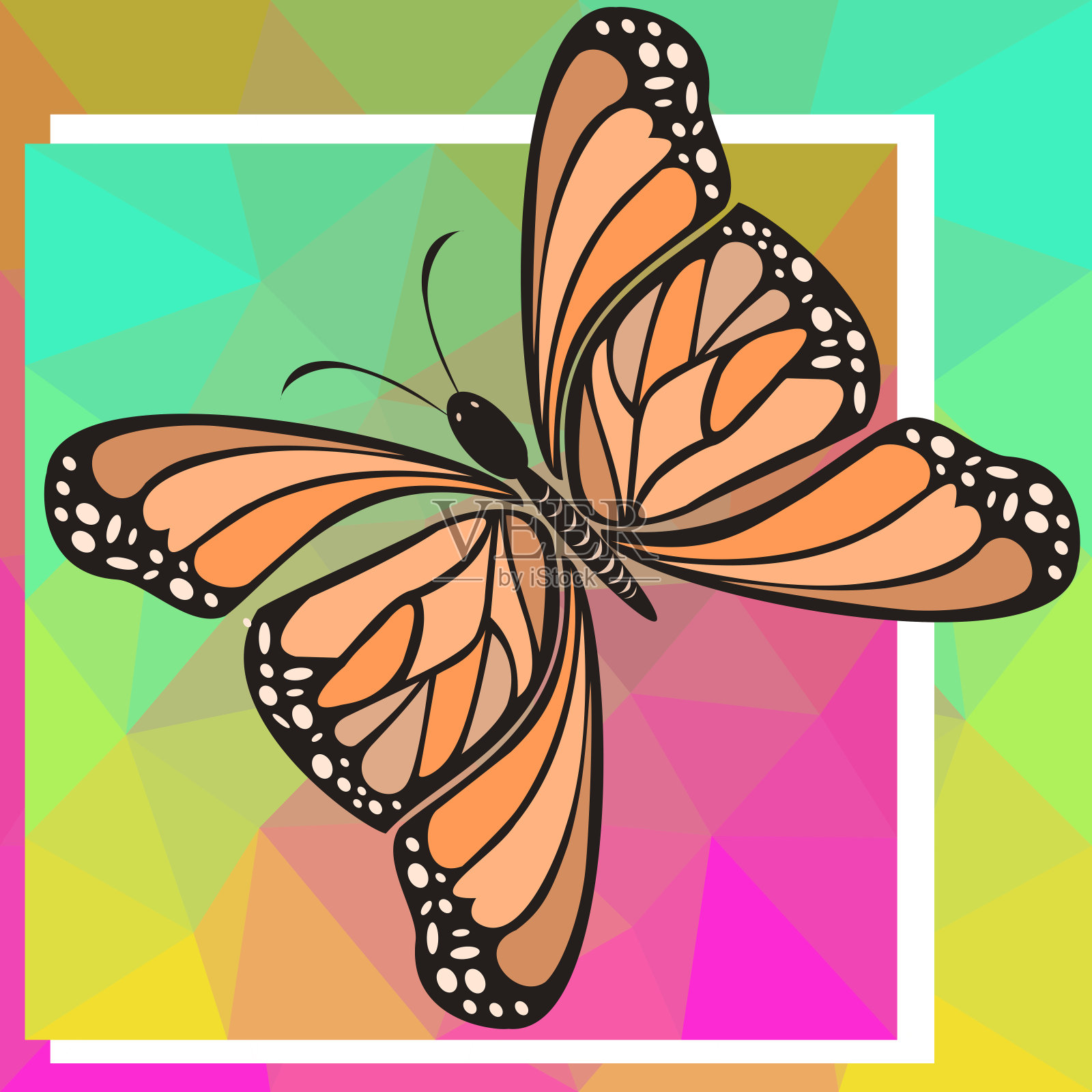 彩色背景上的蝴蝶插图插画图片素材