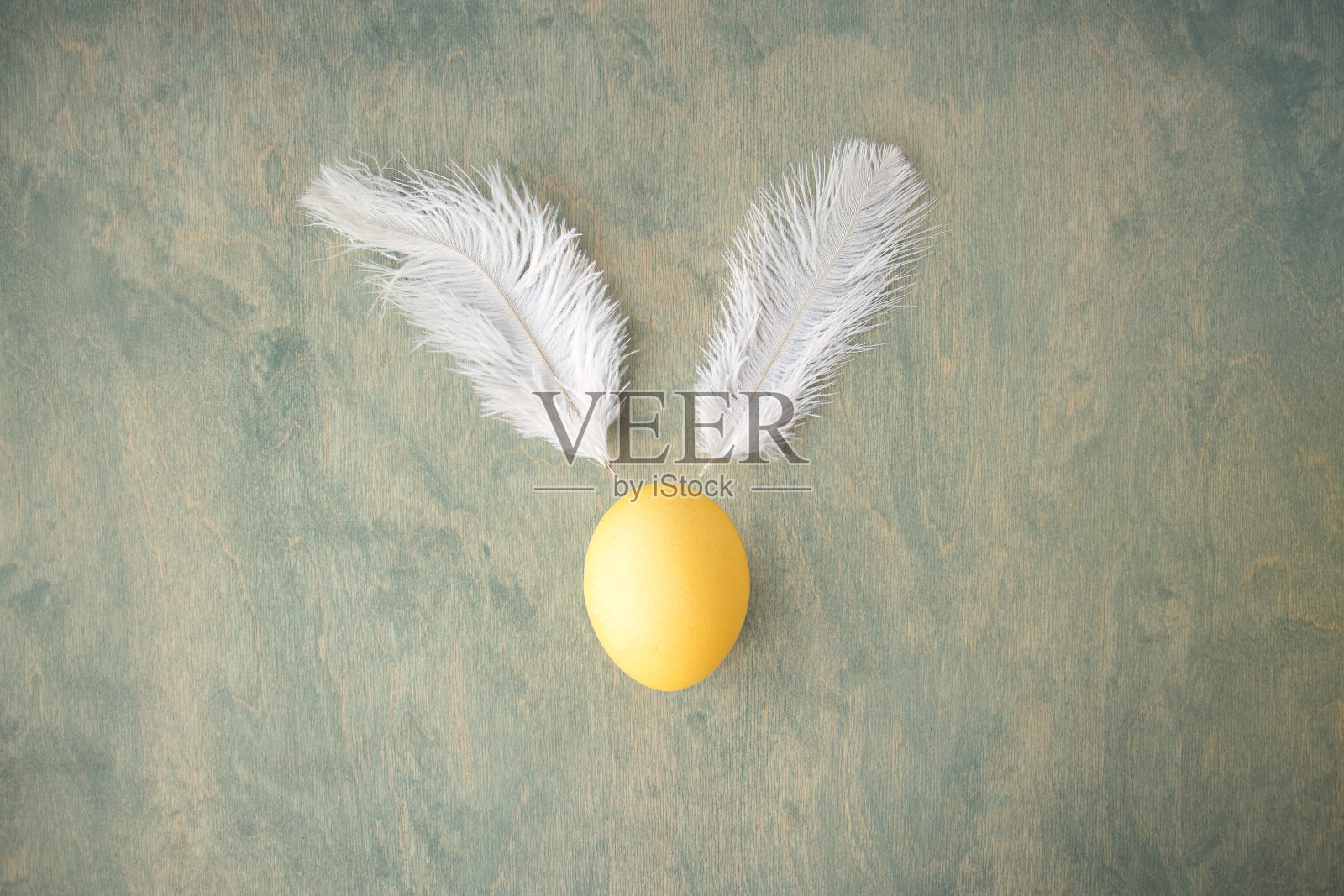 在绿色的木制背景上，一个黄色的复活节彩蛋和像复活节兔子一样的白色羽毛。复活节快乐的概念。软焦点照片摄影图片