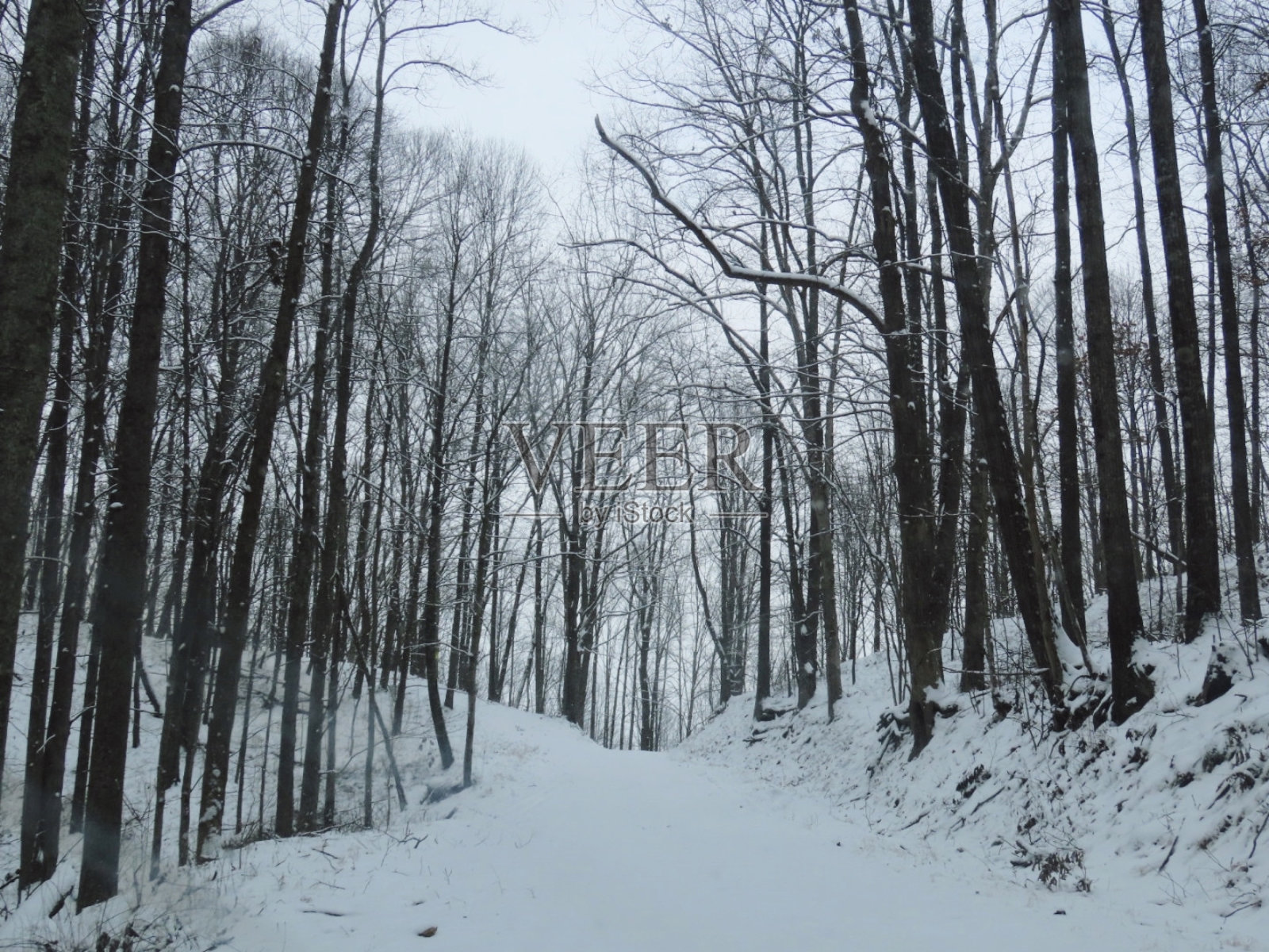 冬季仙境照片摄影图片