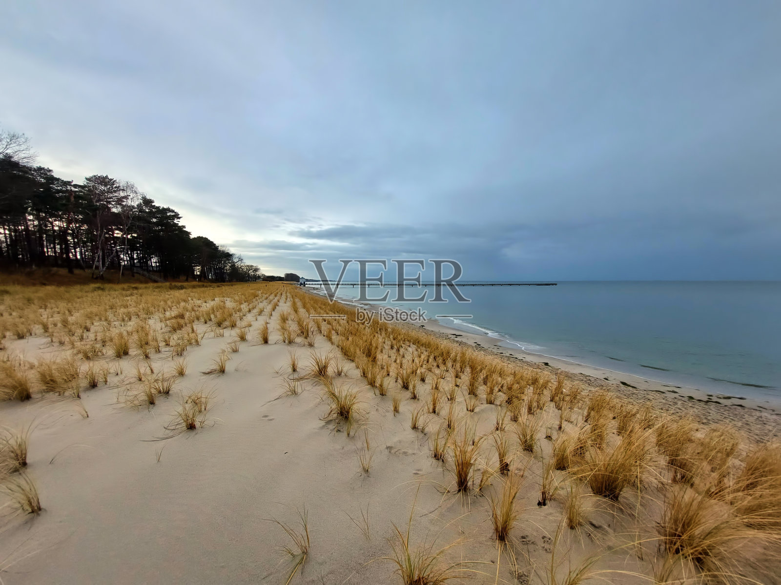 德国卢布明海边的沙丘照片摄影图片