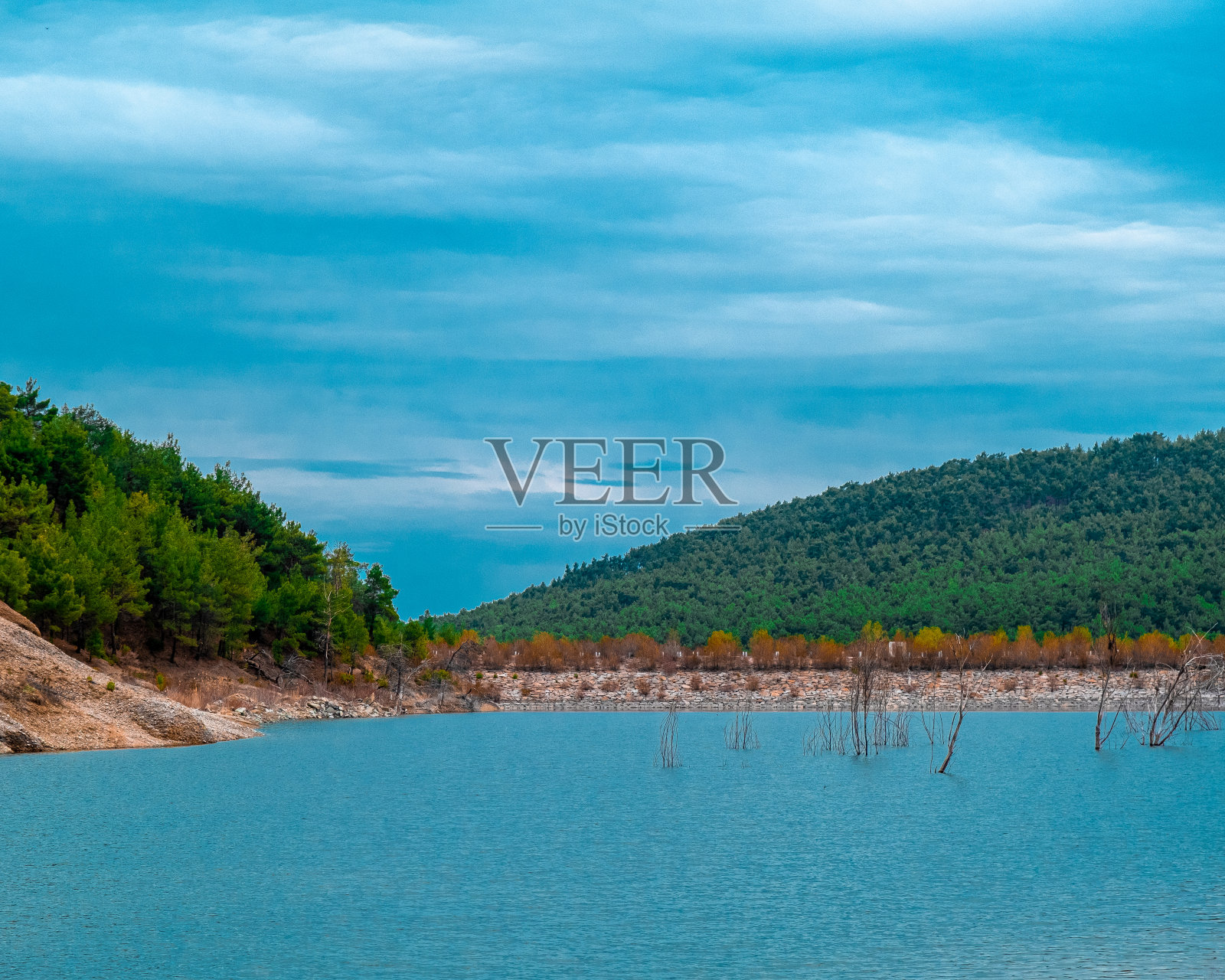 森林的风景照片和湖边水面的倒影照片摄影图片
