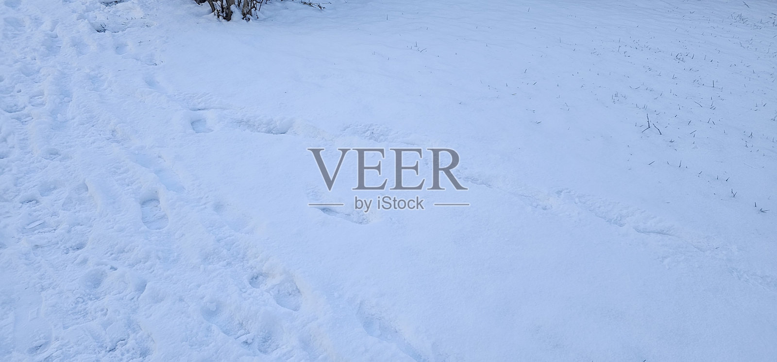 一片覆盖着厚厚的积雪的平坦田野和一个人的脚印照片摄影图片