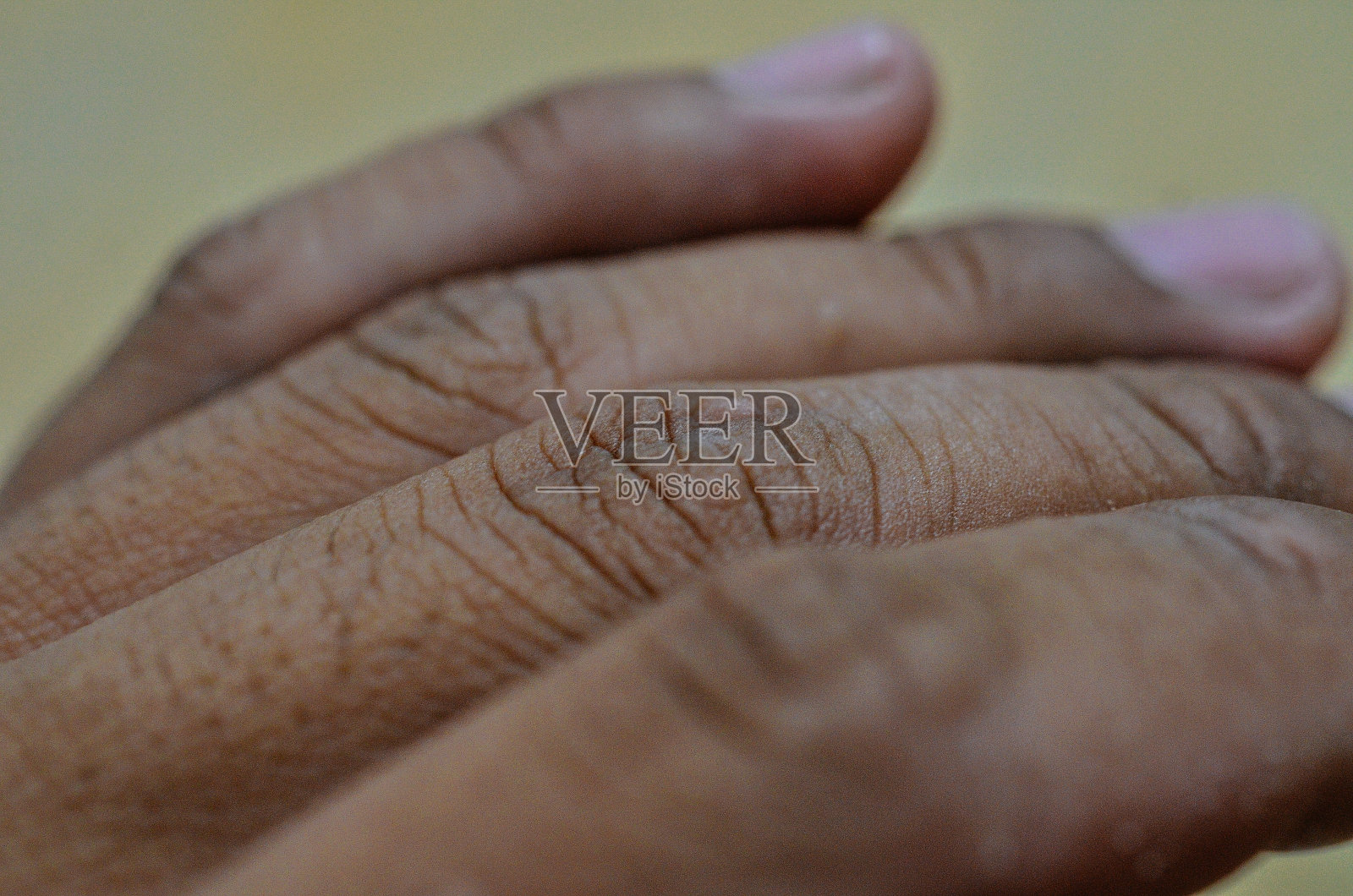 人手宏照片摄影图片