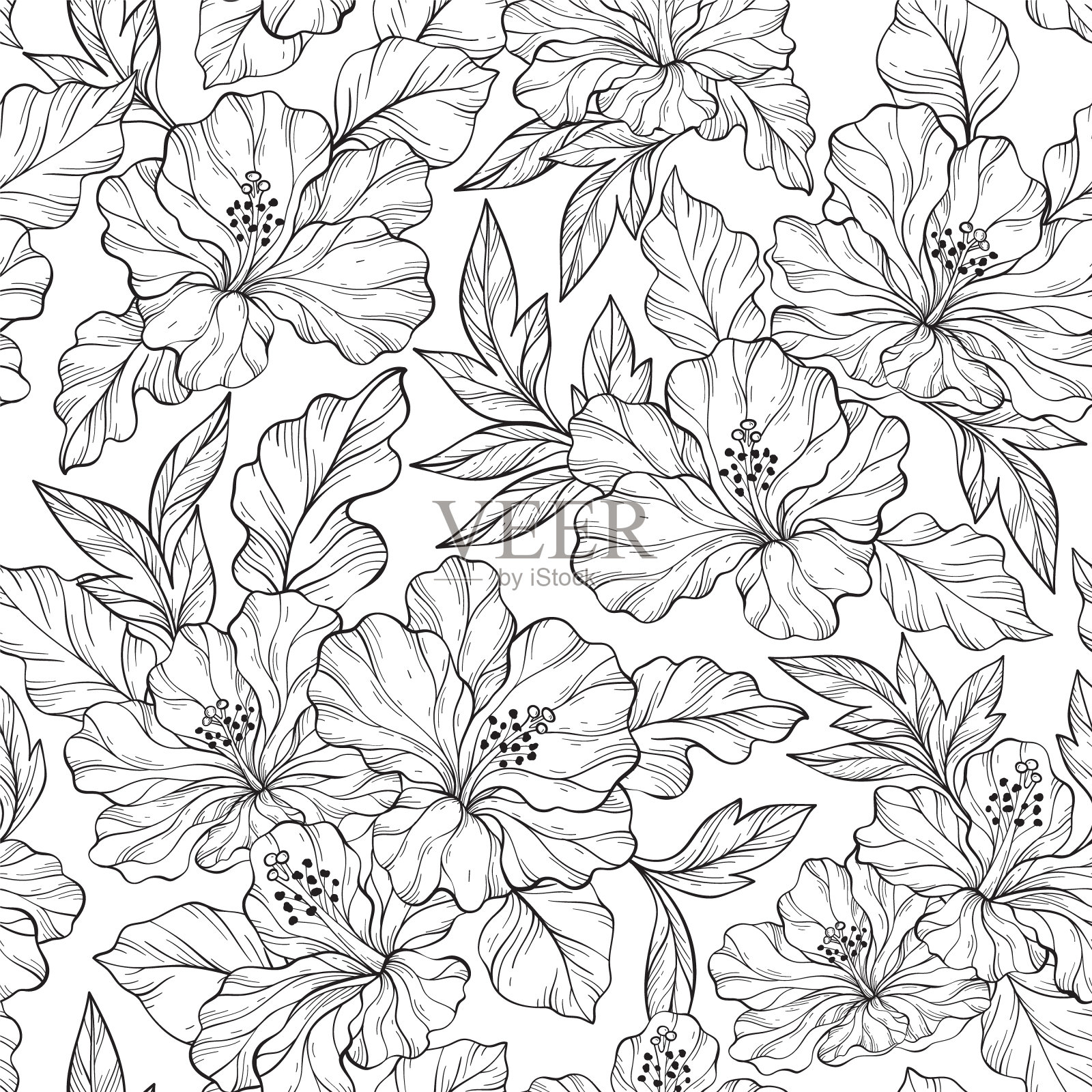 轮廓矢量无缝设计，手绘芙蓉花插画图片素材