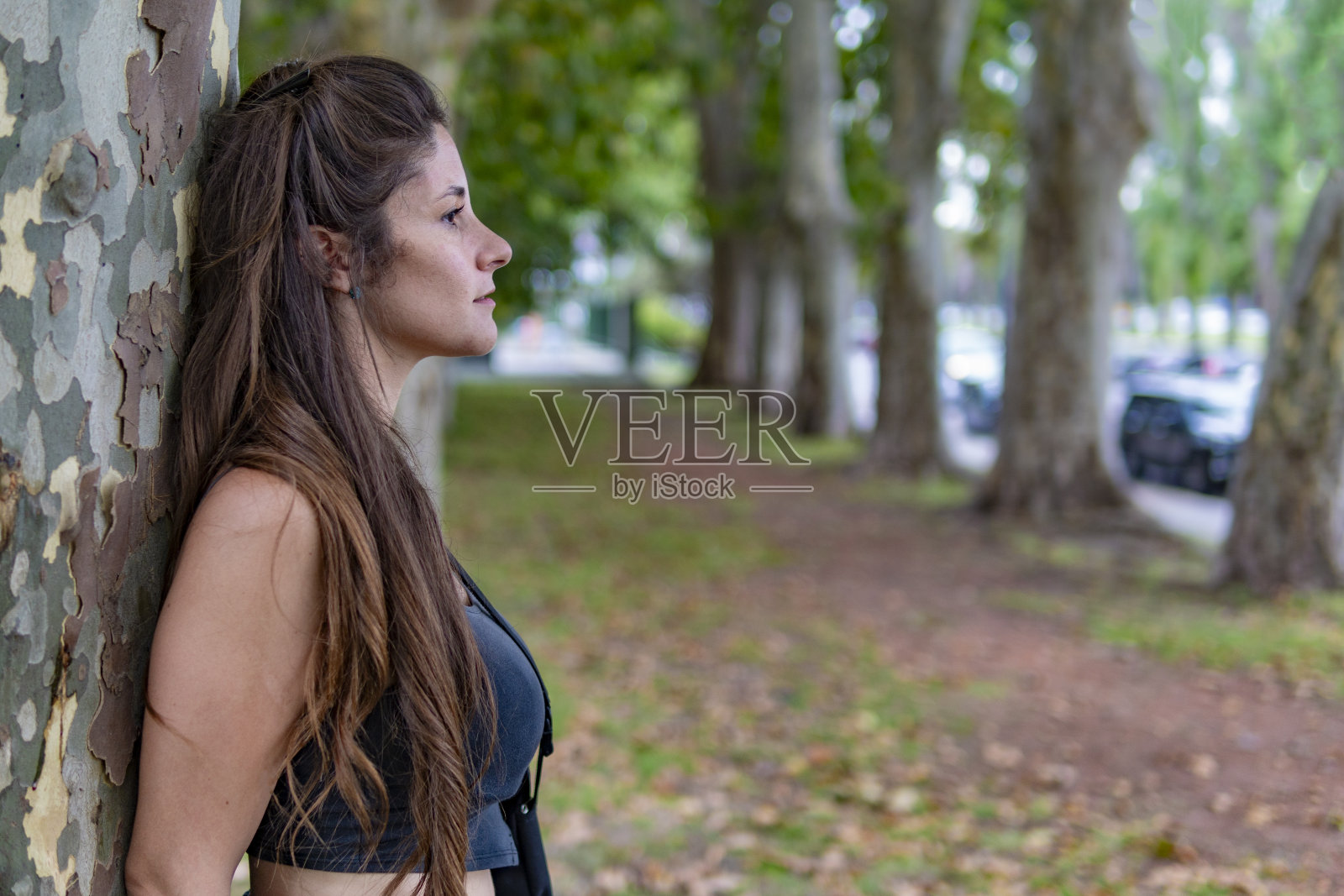 在公园里靠在树上摆姿势的女人照片摄影图片