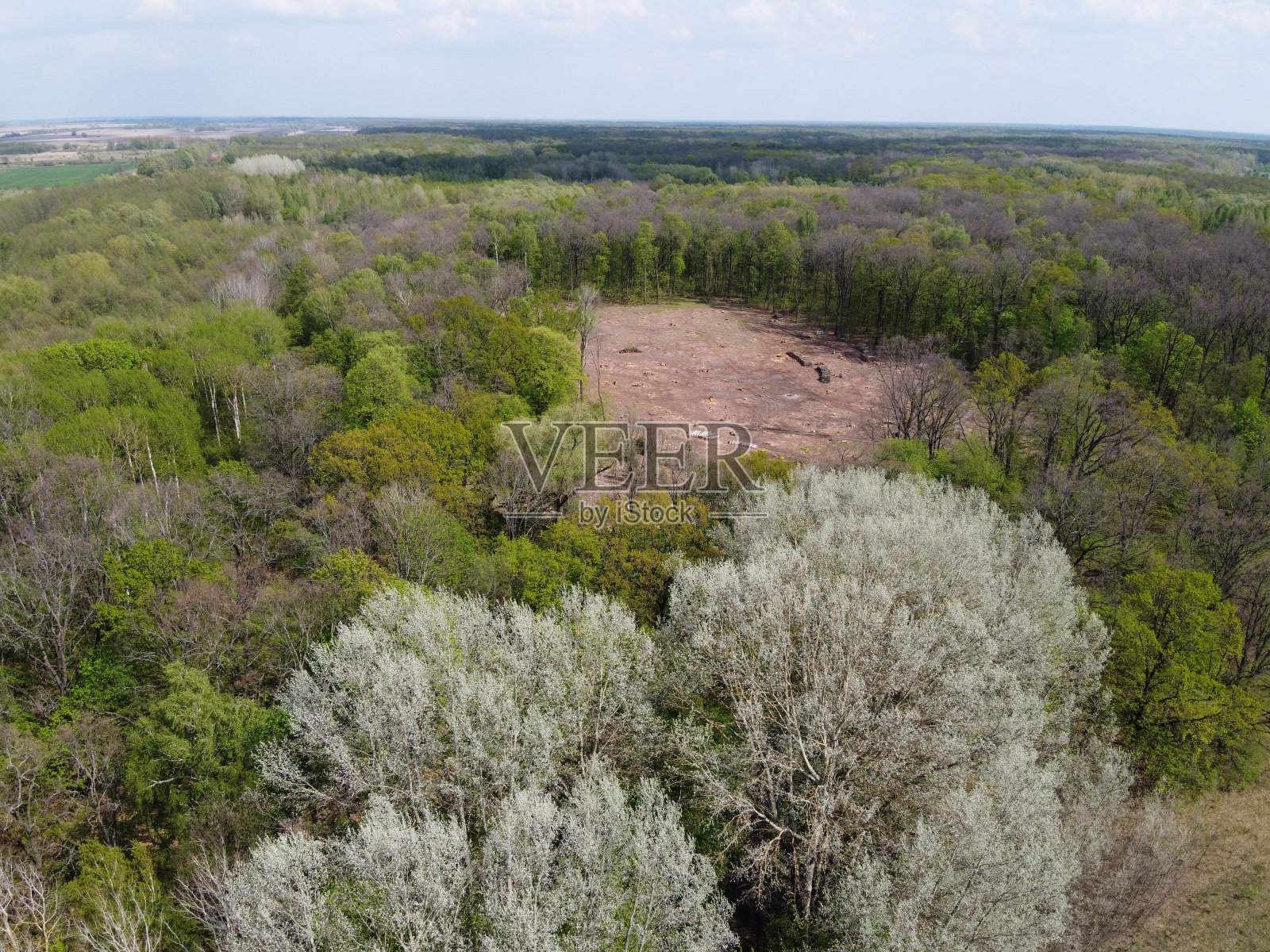 从空中俯瞰的地方。毁坏的土地，清理。照片摄影图片
