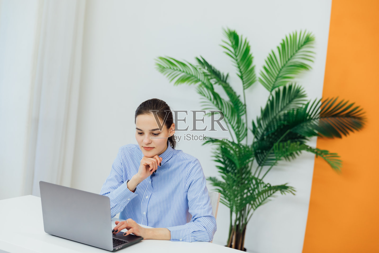 在办公室用笔记本电脑上网做金融业务的女人照片摄影图片