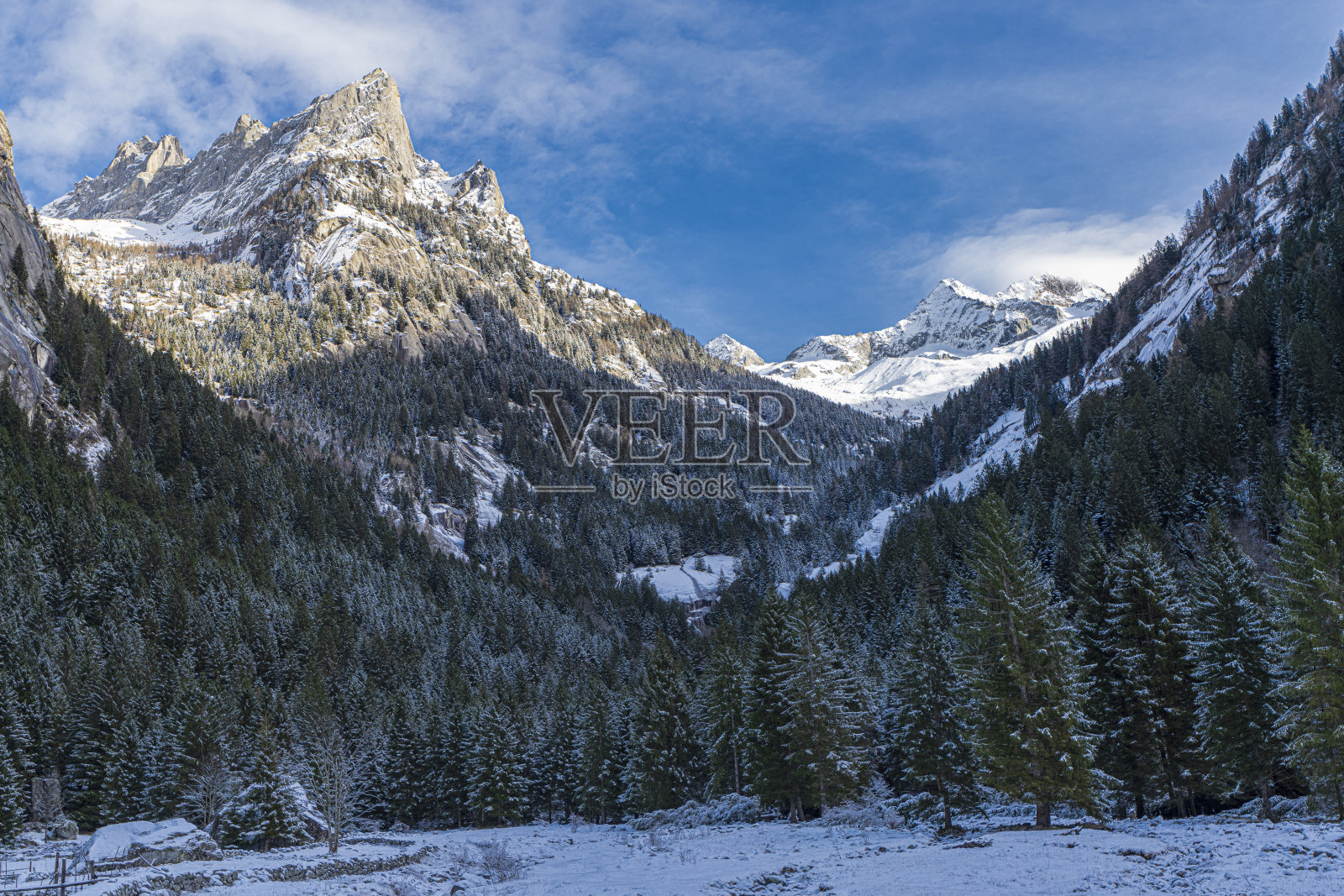 瓦尔迪梅洛，瓦尔泰利纳的自然保护区照片摄影图片