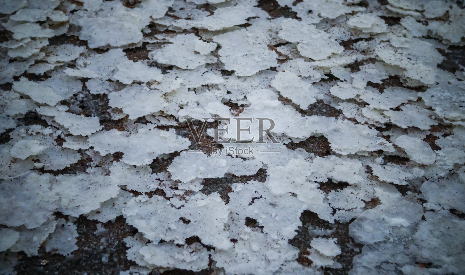 海岸上自沉积食盐的结晶照片摄影图片