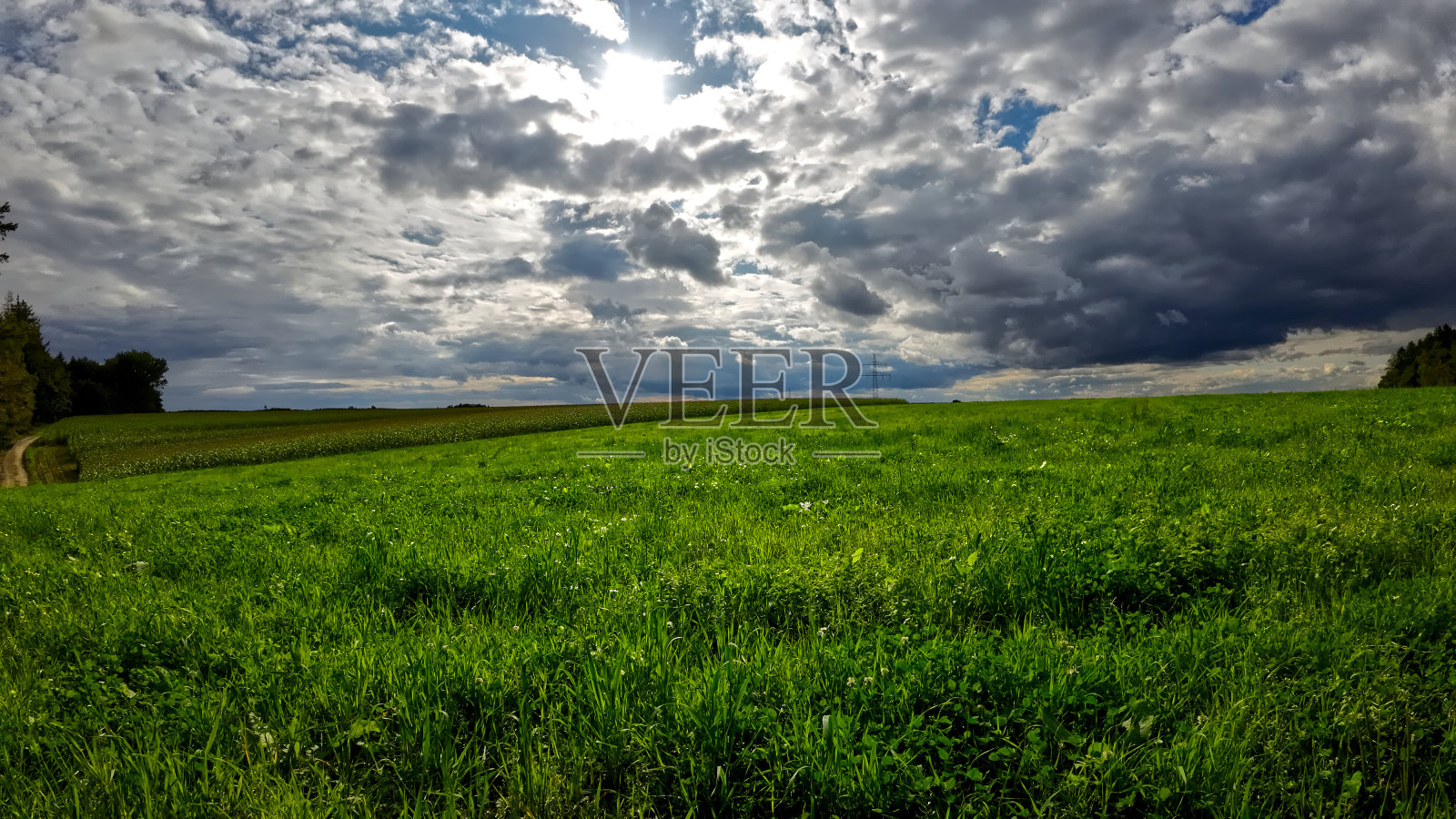 在多云的蓝天衬托下，一片郁郁葱葱的草地，一派田园诗般的景色照片摄影图片